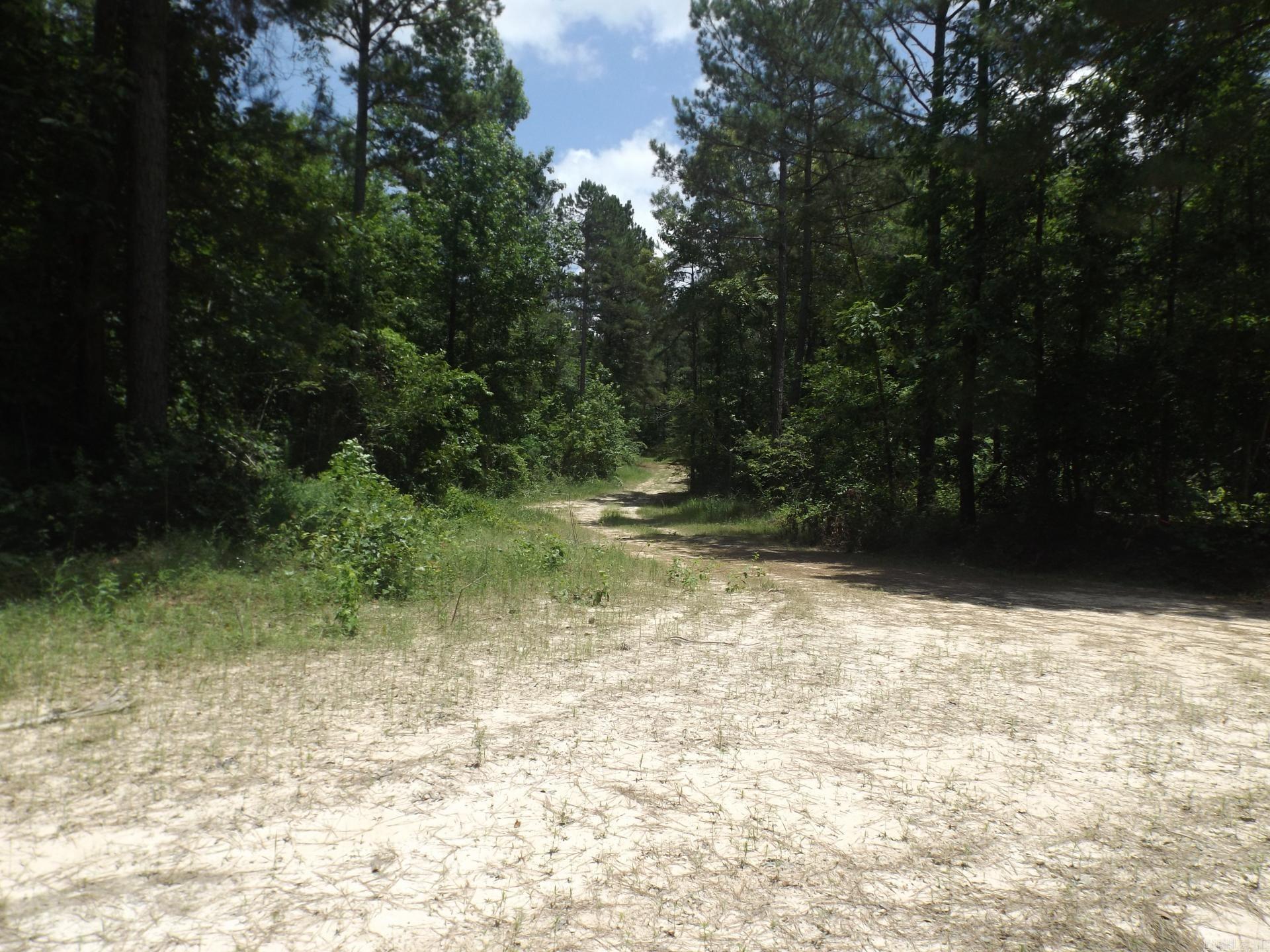 TBD W TBD. BRUCE TRAIL, White Hall, Arkansas 71602  White Hall, AR