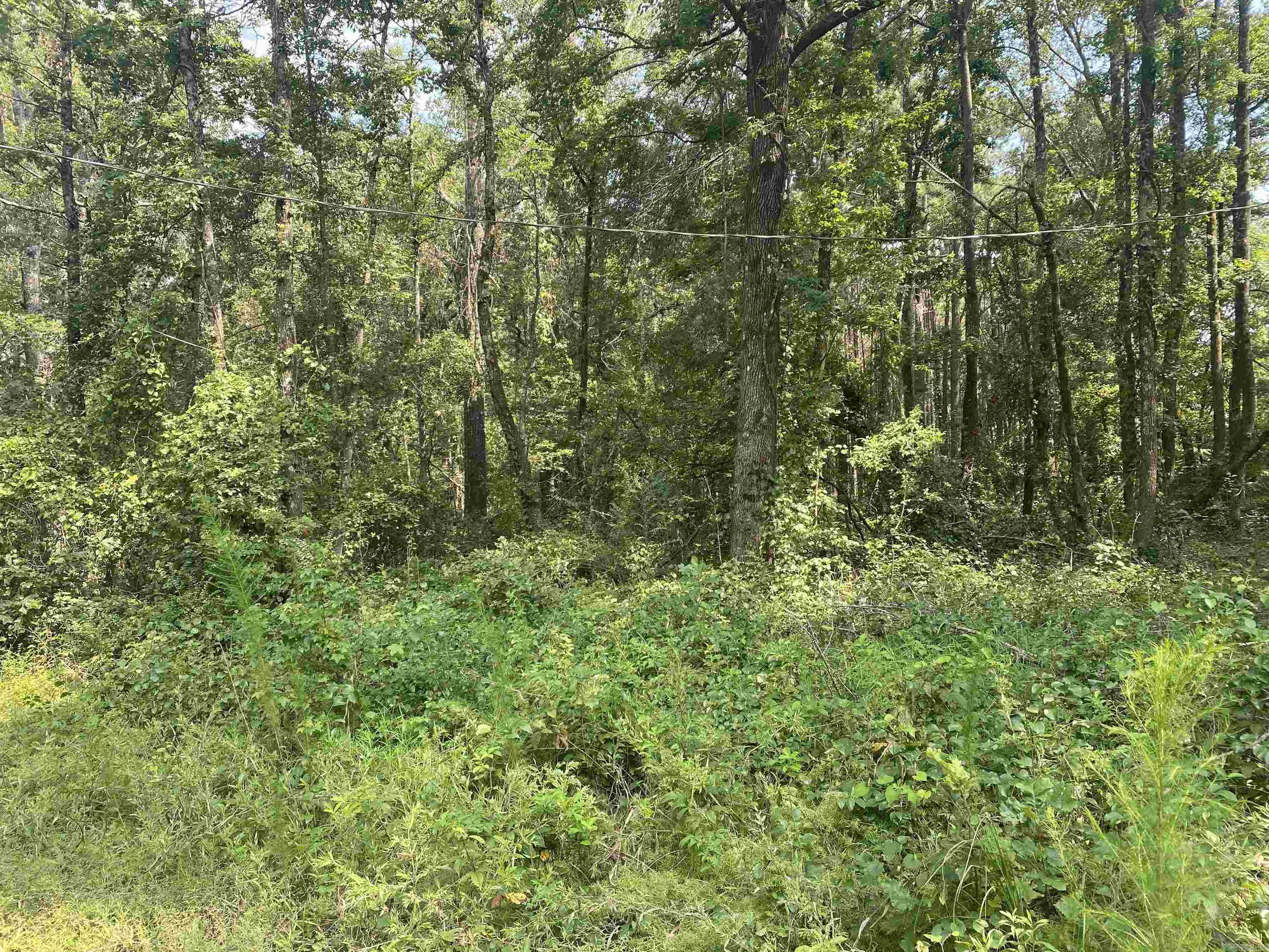 TBD  SHADE GROVE RD.  Glendale, AR