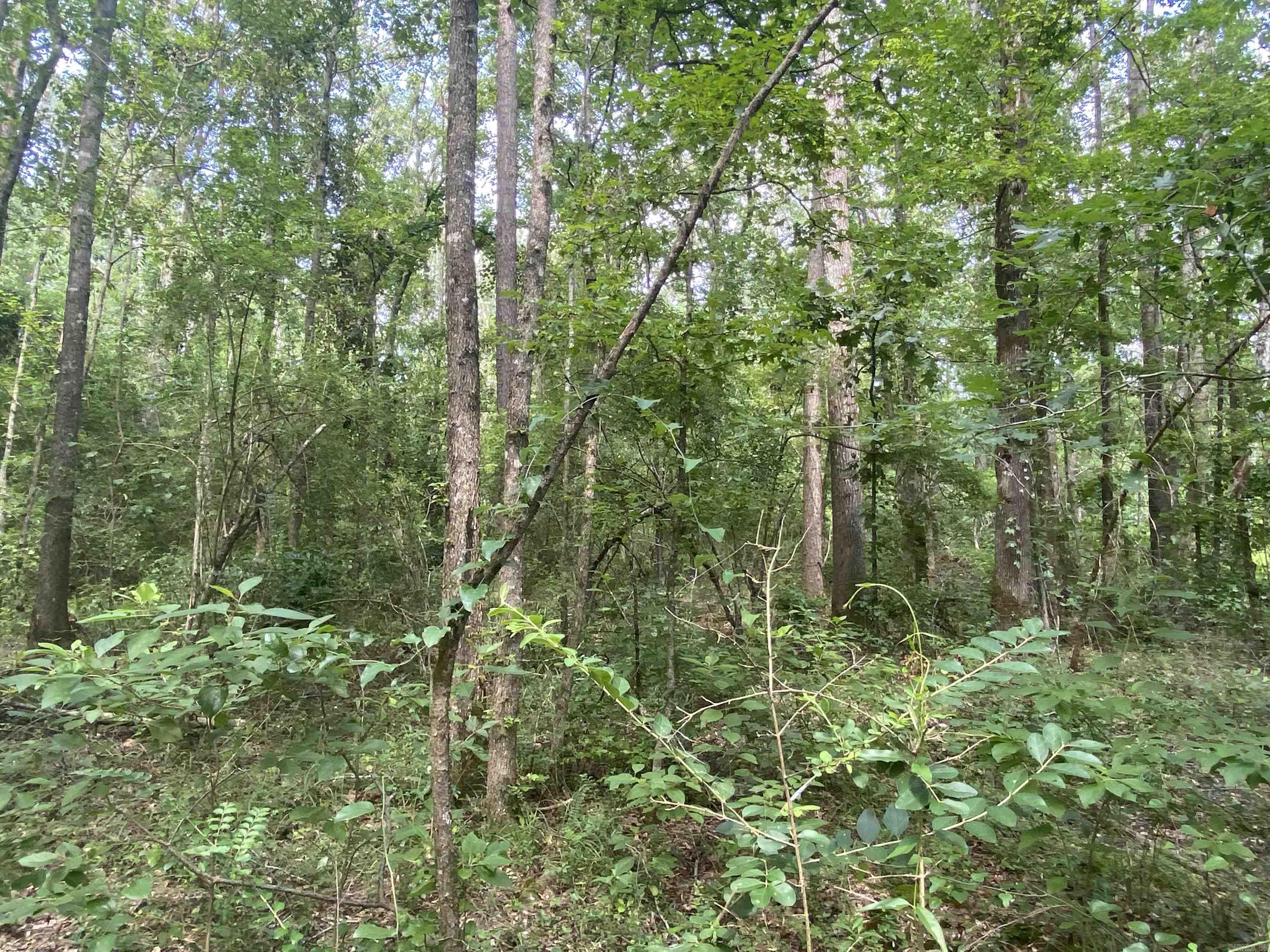 TBD  SHADE GROVE RD.  Glendale, AR