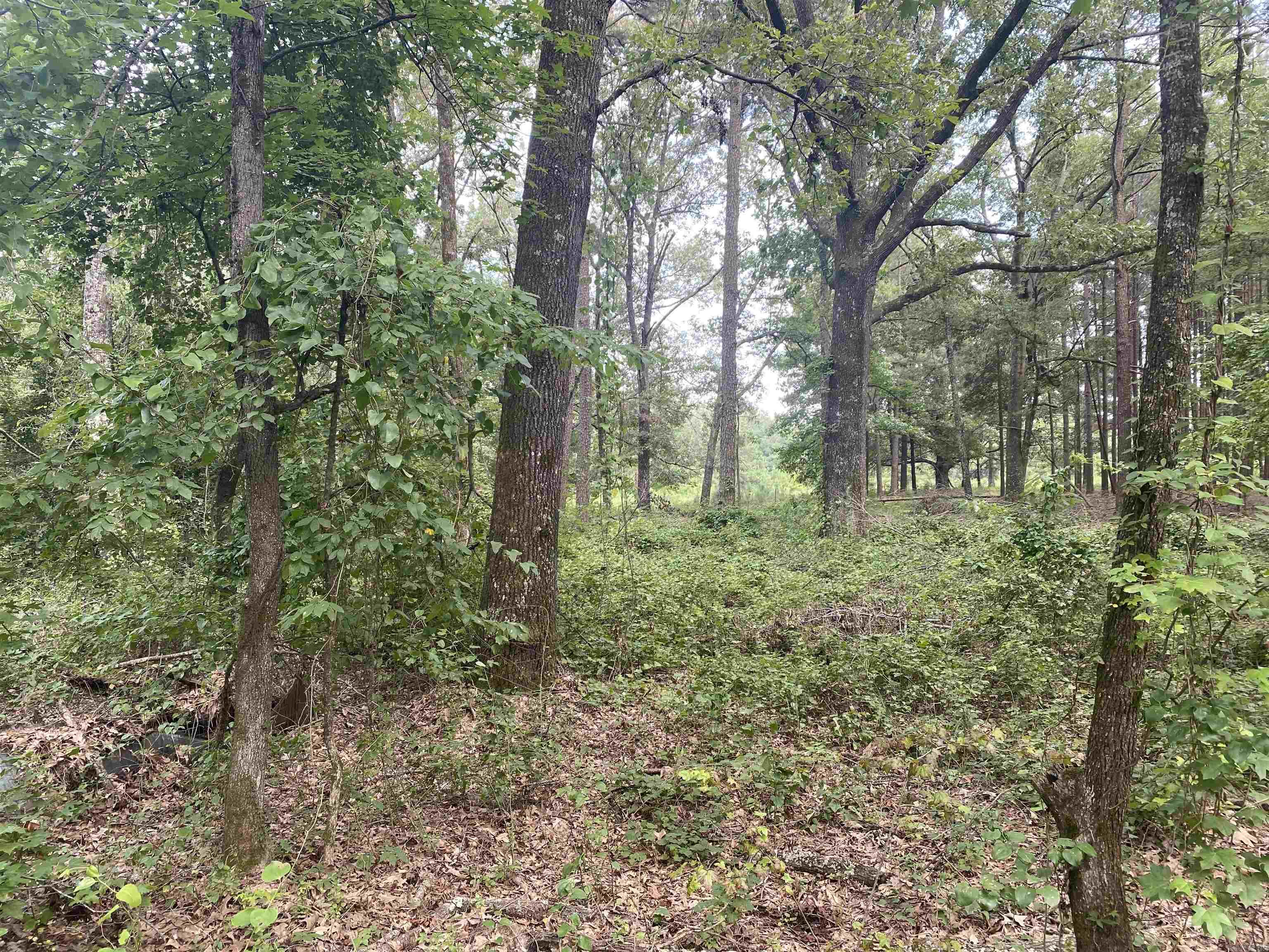 TBD  SHADE GROVE RD.  Glendale, AR