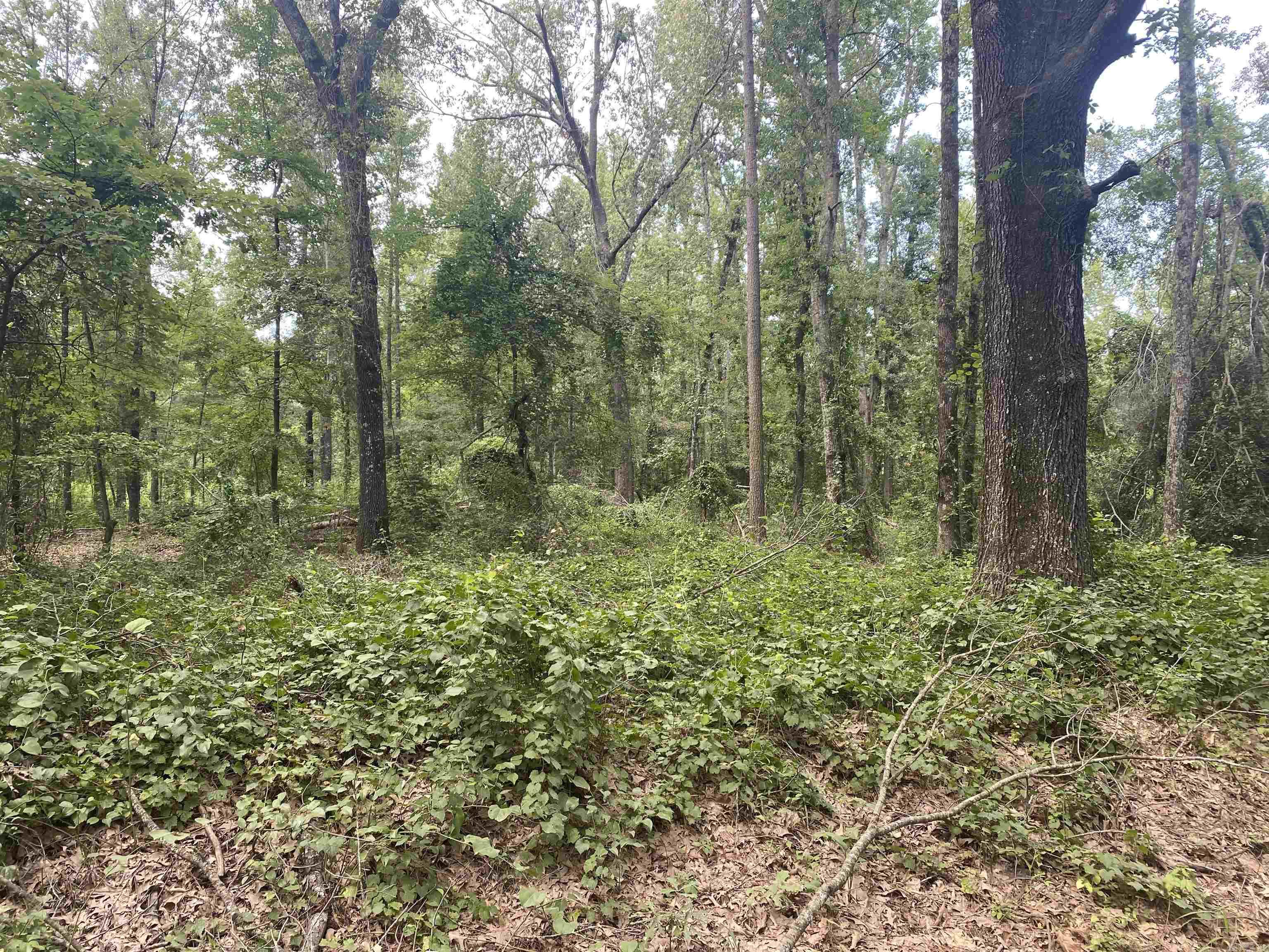 TBD  SHADE GROVE RD.  Glendale, AR