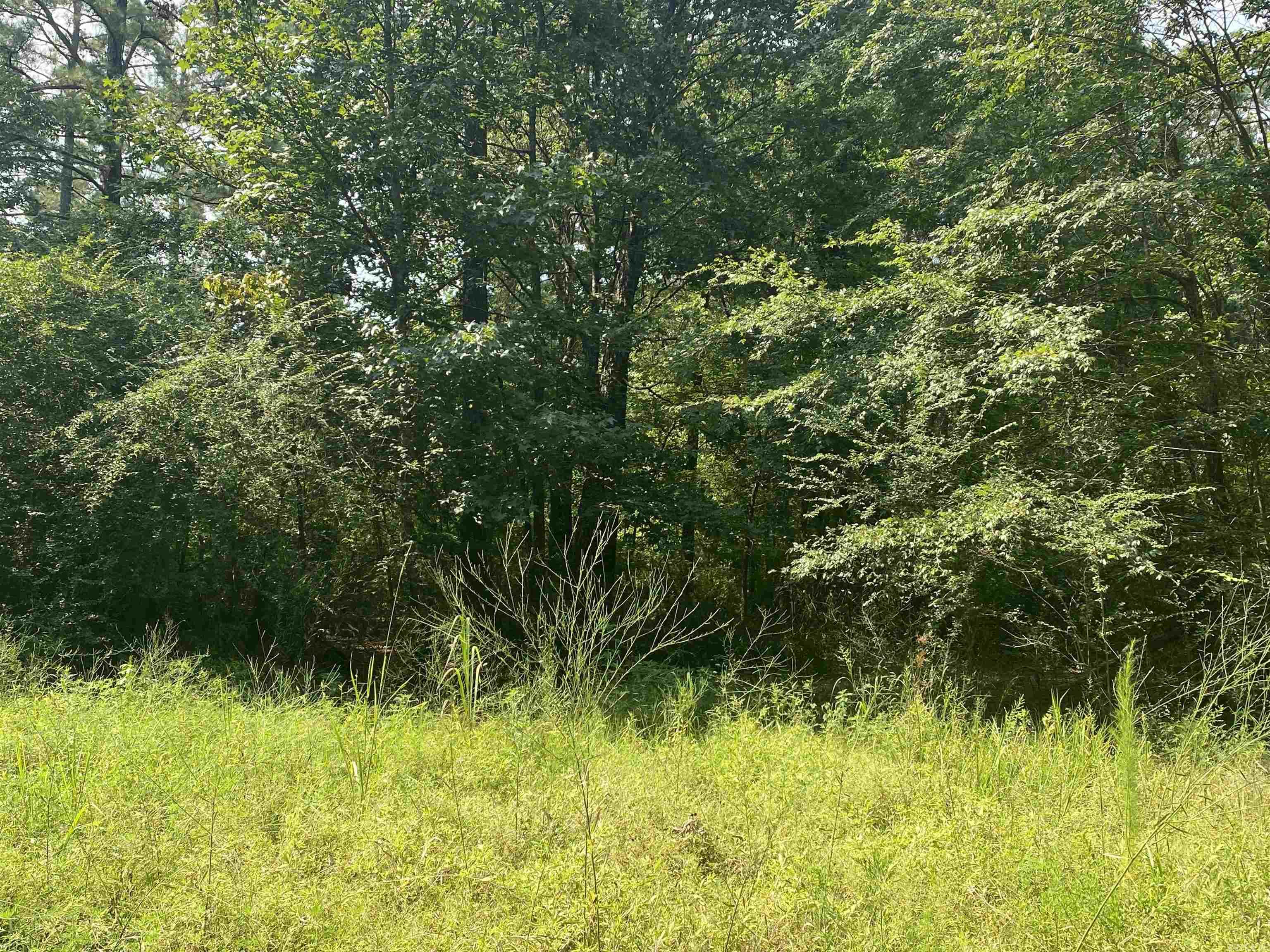 TBD  SHADE GROVE RD.  Glendale, AR