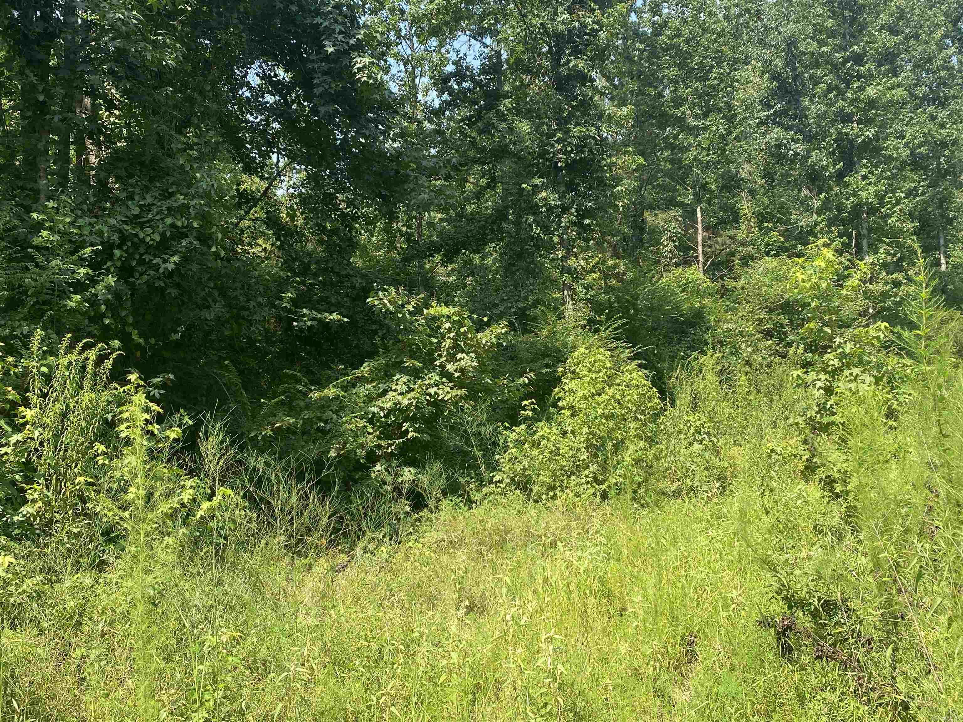 TBD  SHADE GROVE RD.  Glendale, AR