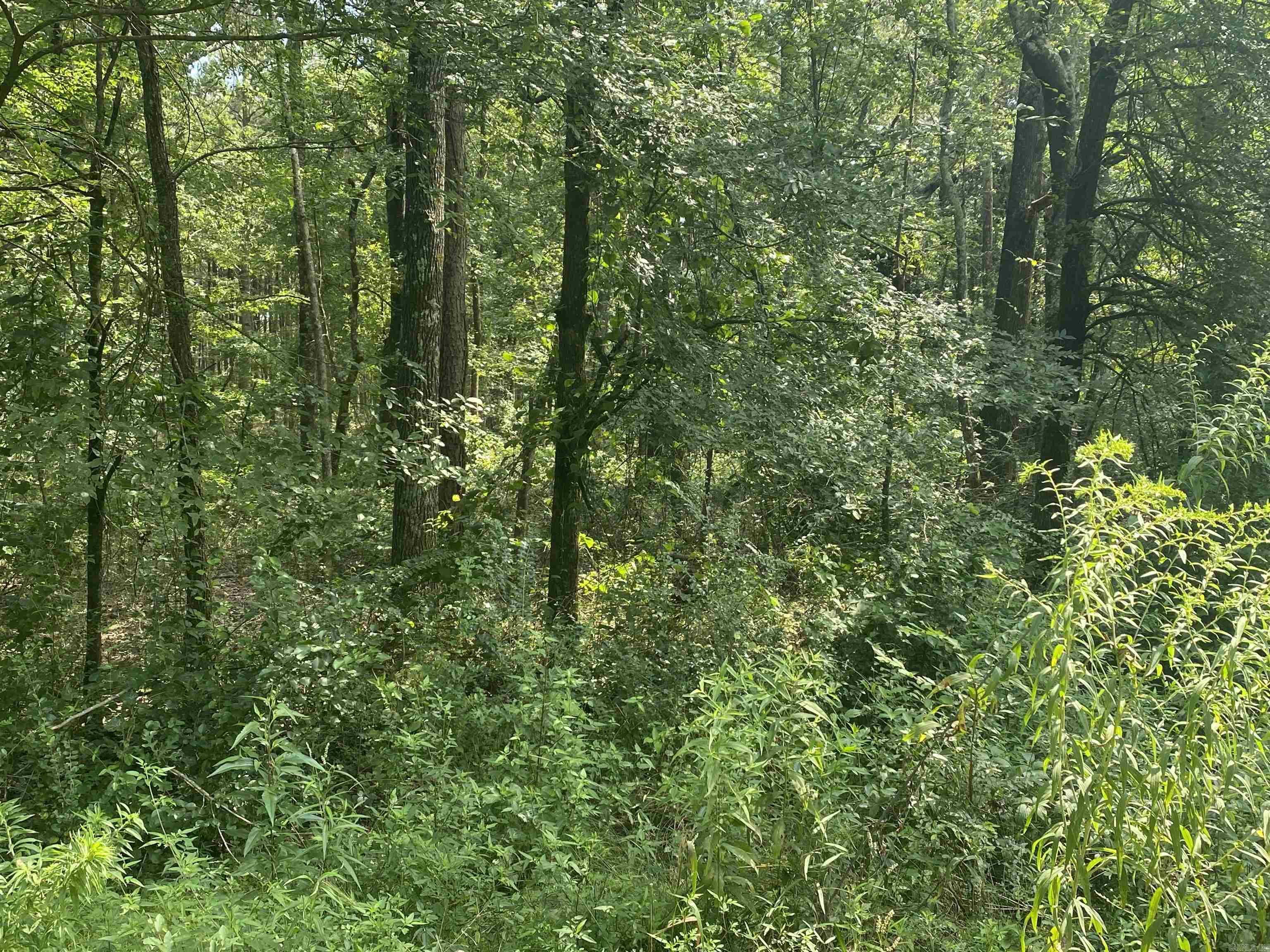 TBD  SHADE GROVE RD.  Glendale, AR