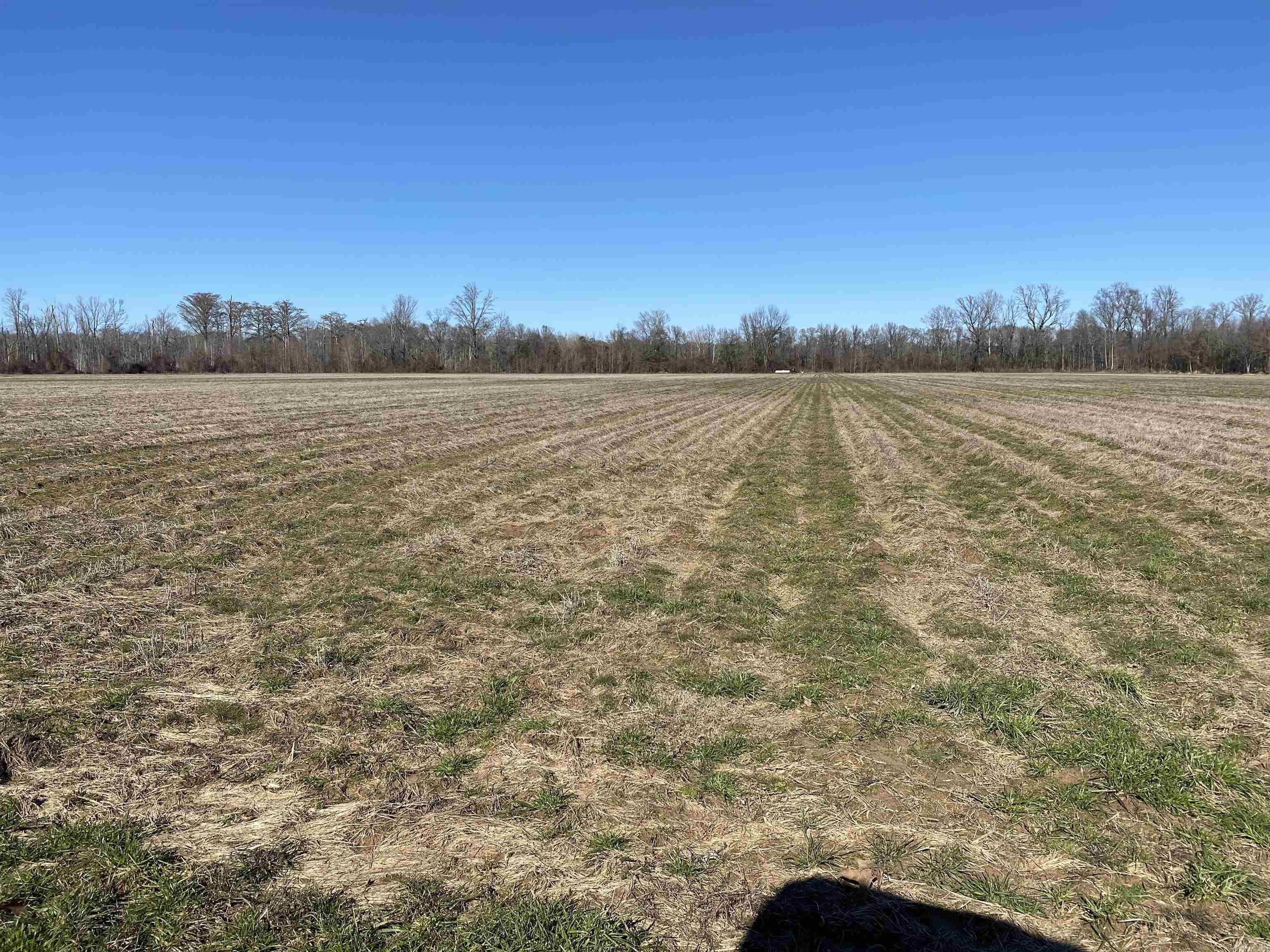 TBD  ASHLEY 353  Parkdale, AR