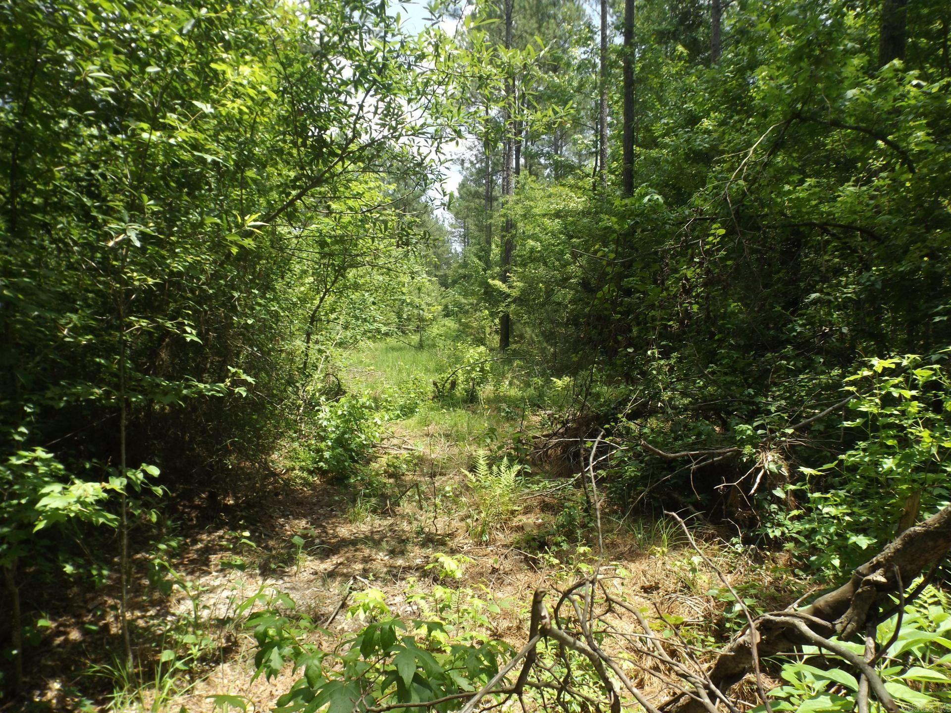 TBD. W BRUCE TRAIL RD.  Pine Bluff, AR