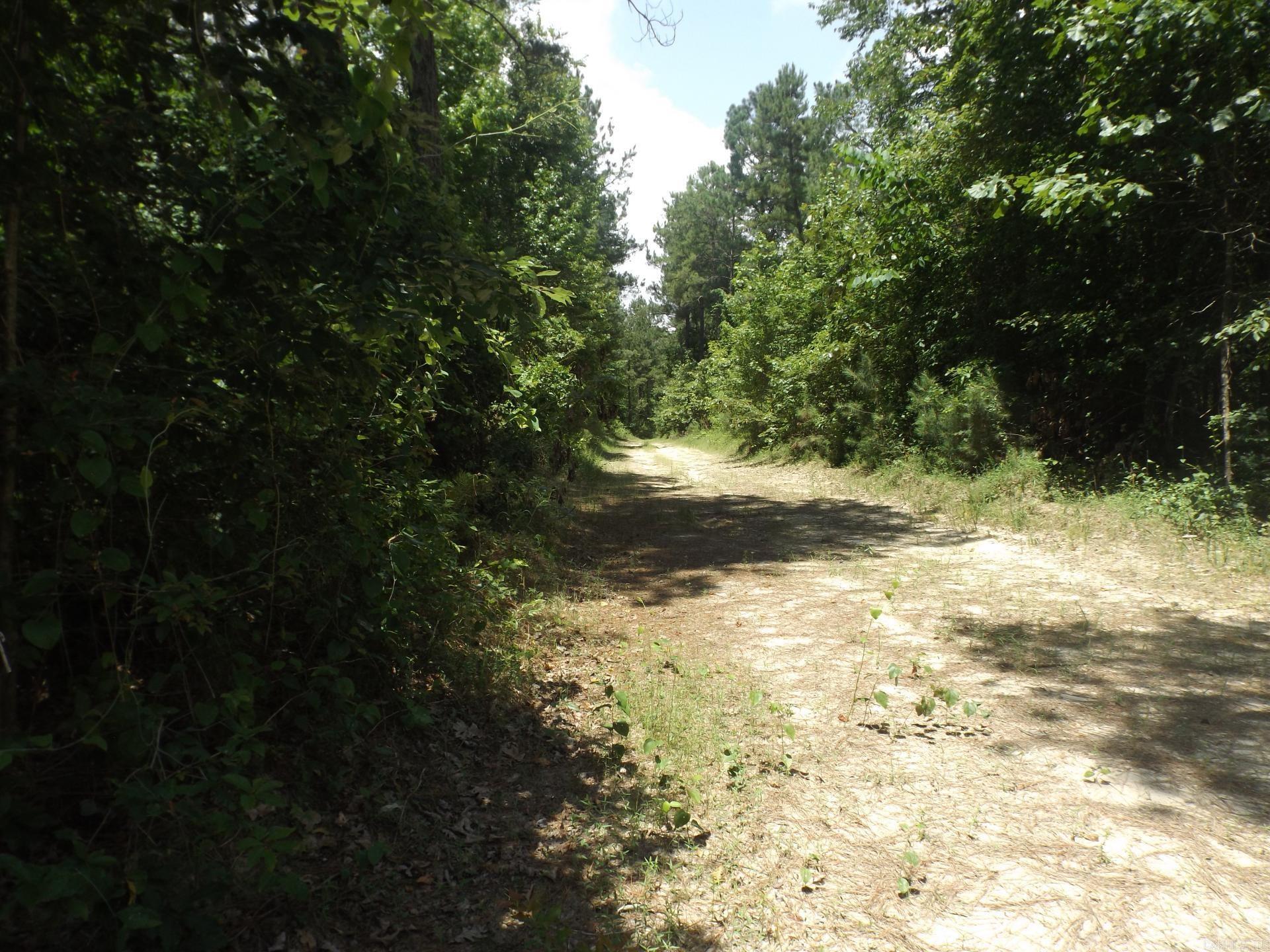 TBD. W BRUCE TRAIL RD.  Pine Bluff, AR