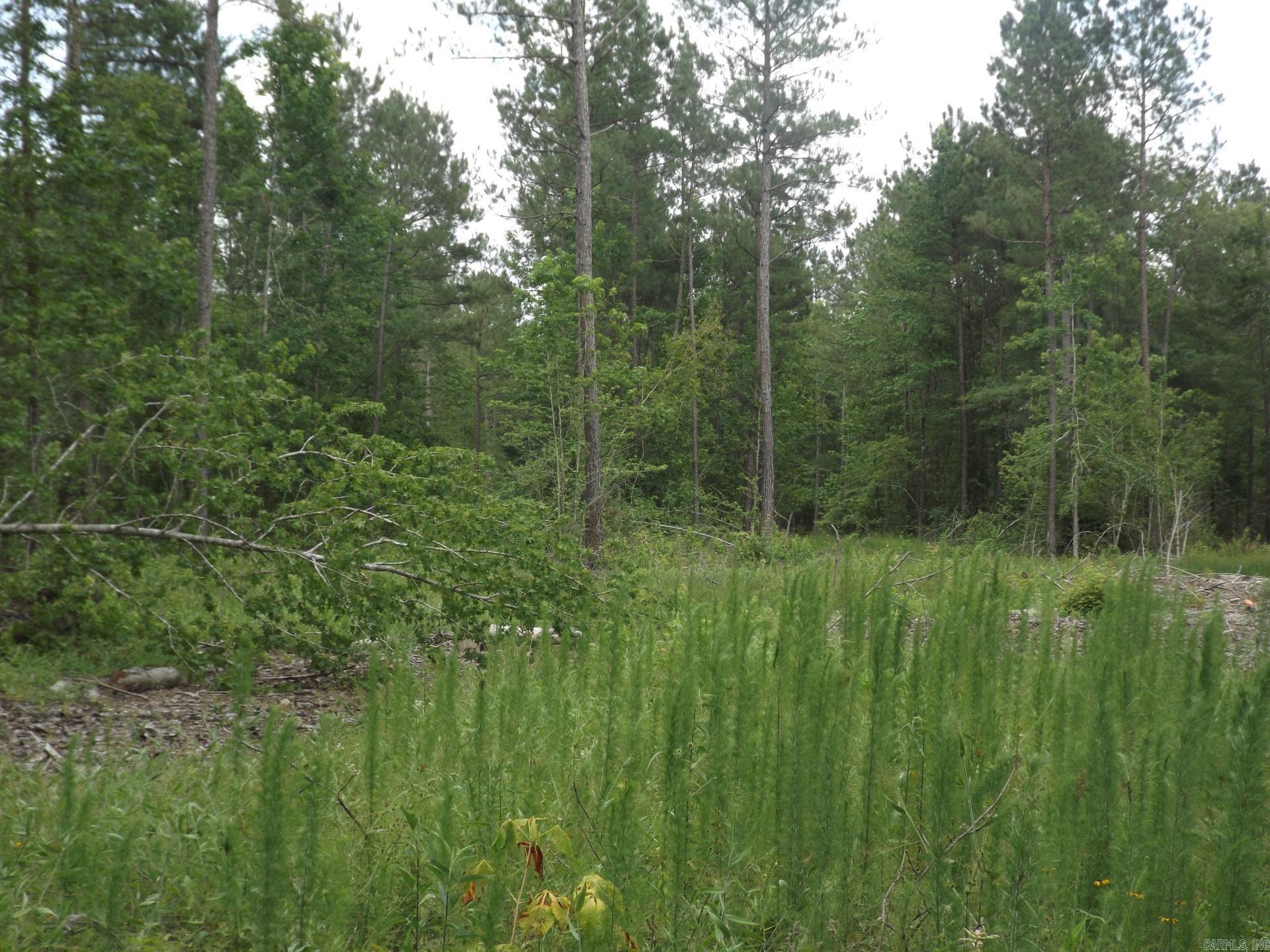 TBD. W BRUCE TRAIL RD.  Pine Bluff, AR