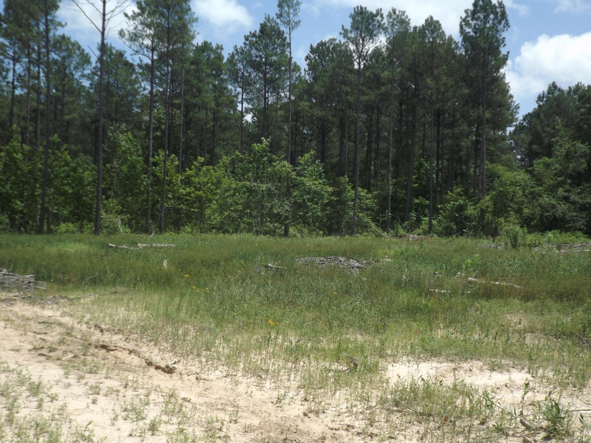 TBD. W BRUCE TRAIL RD.  Pine Bluff, AR