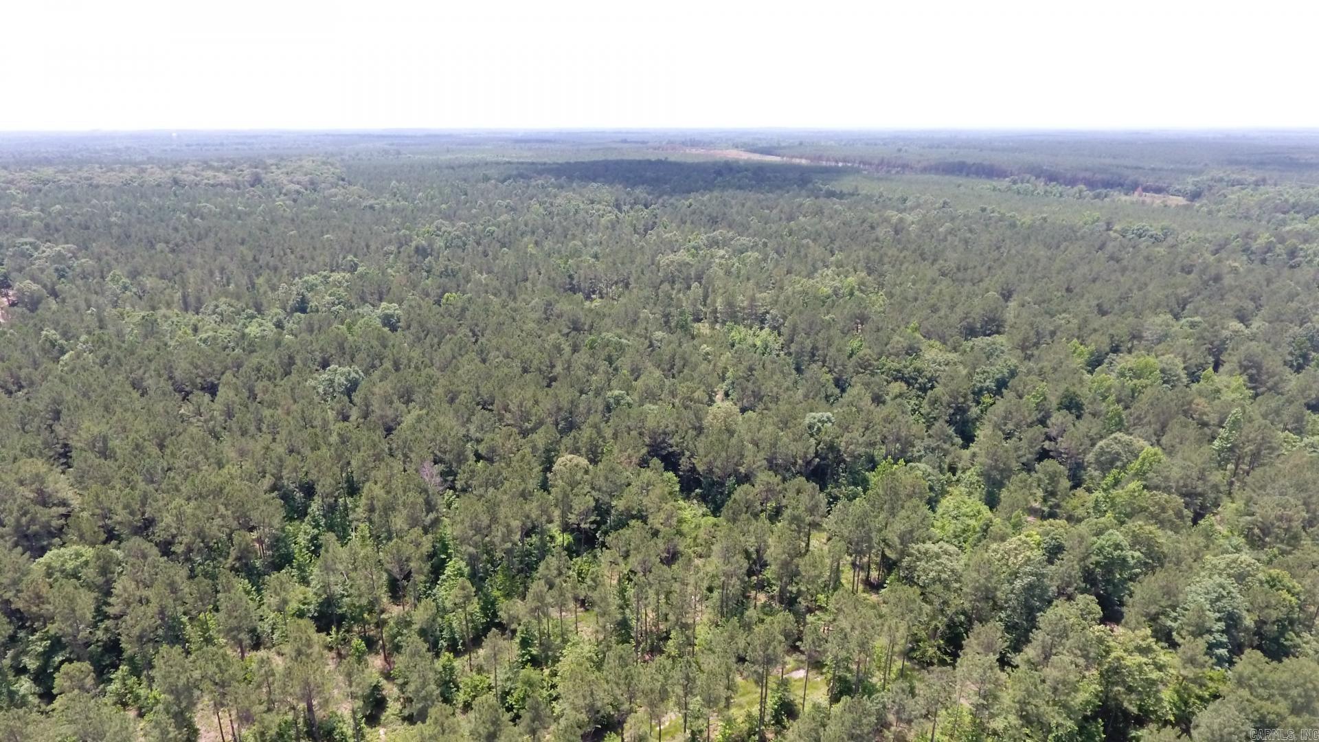 TBD. W BRUCE TRAIL RD.  Pine Bluff, AR