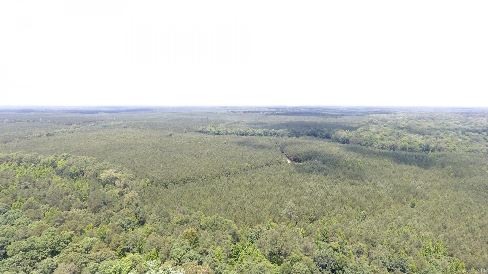 TBD. W BRUCE TRAIL RD.  Pine Bluff, AR