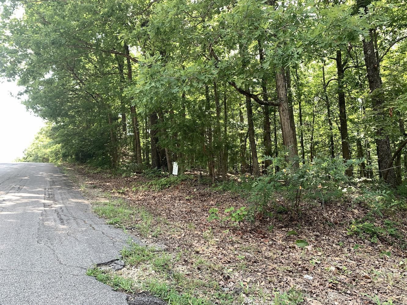   N Summit Ridge Dr  Ozark Acres, AR