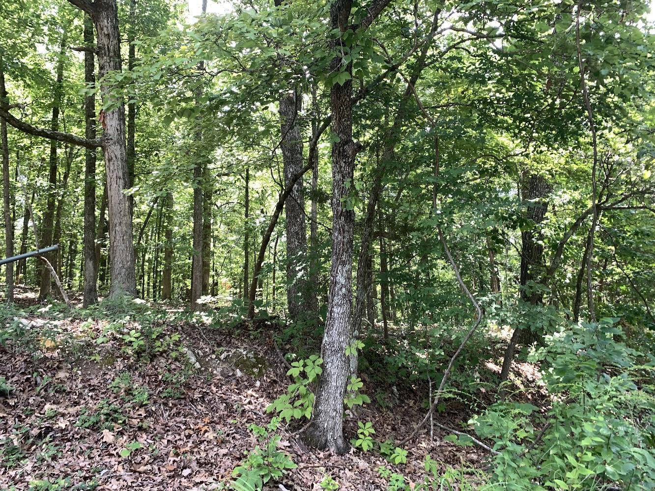   N Summit Ridge Dr  Ozark Acres, AR