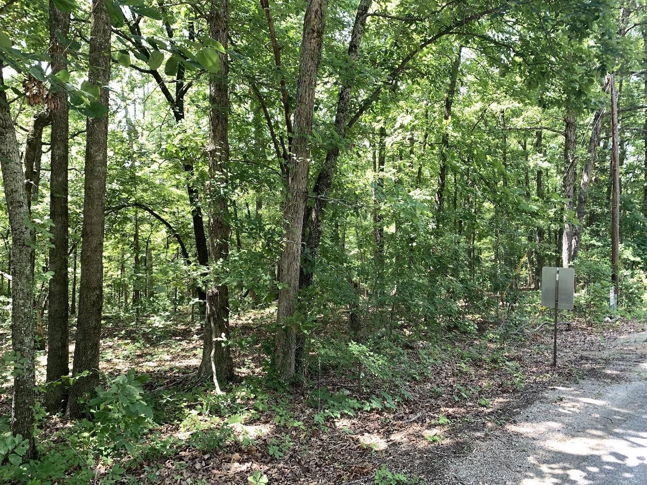   N Summit Ridge Dr  Ozark Acres, AR