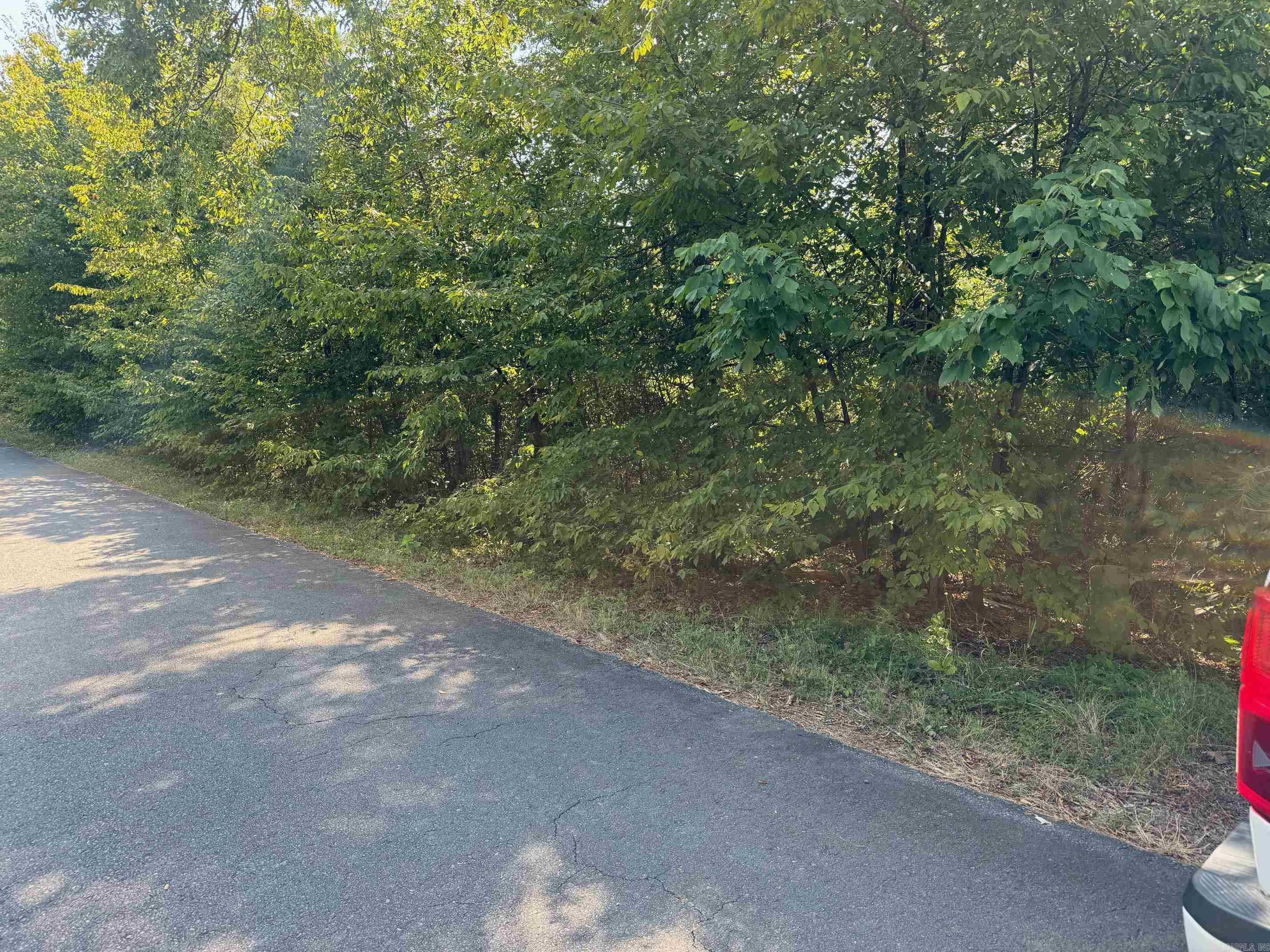 16  FAISAN WAY  Hot Springs Village, AR