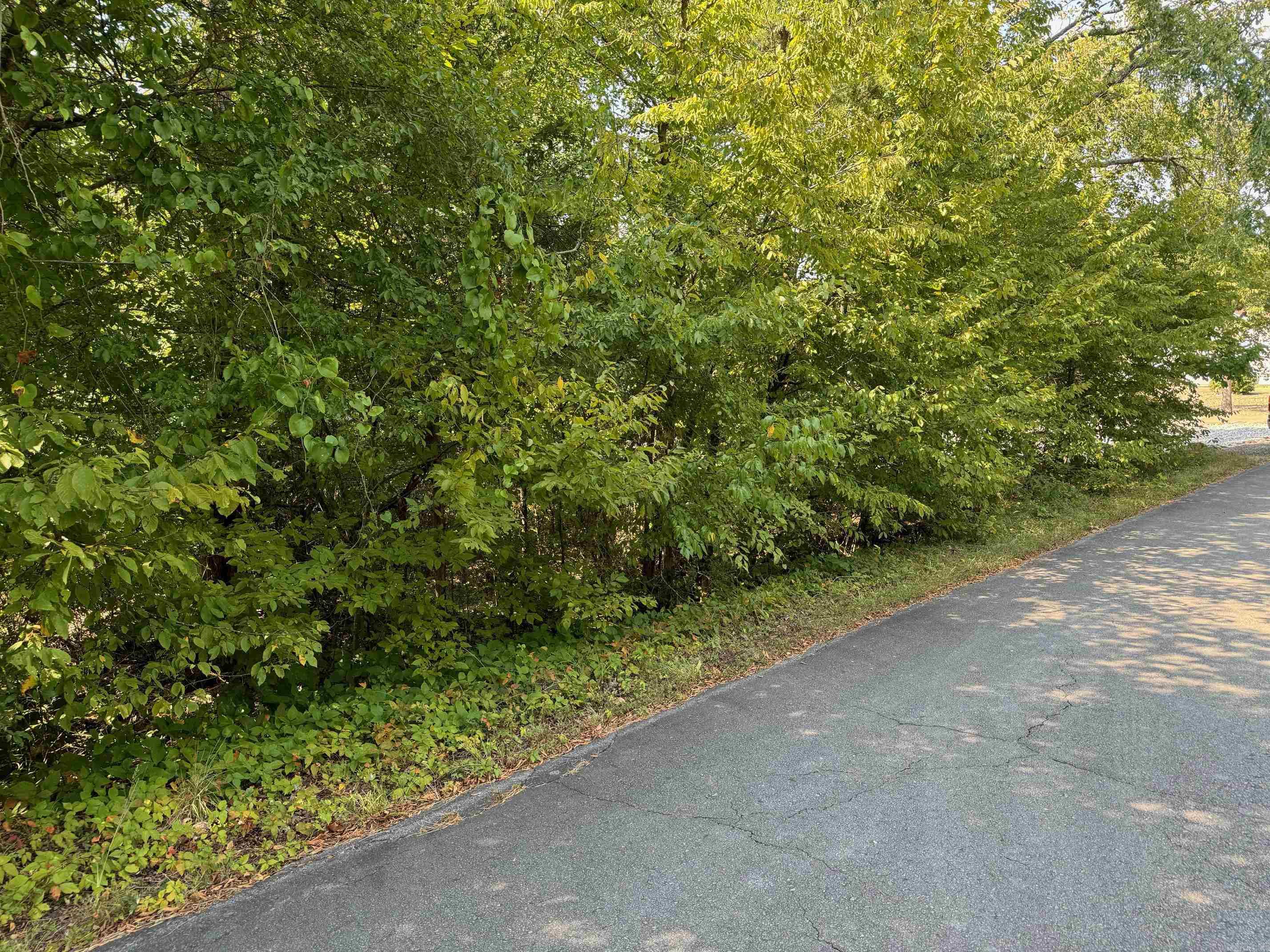 16  FAISAN WAY  Hot Springs Village, AR