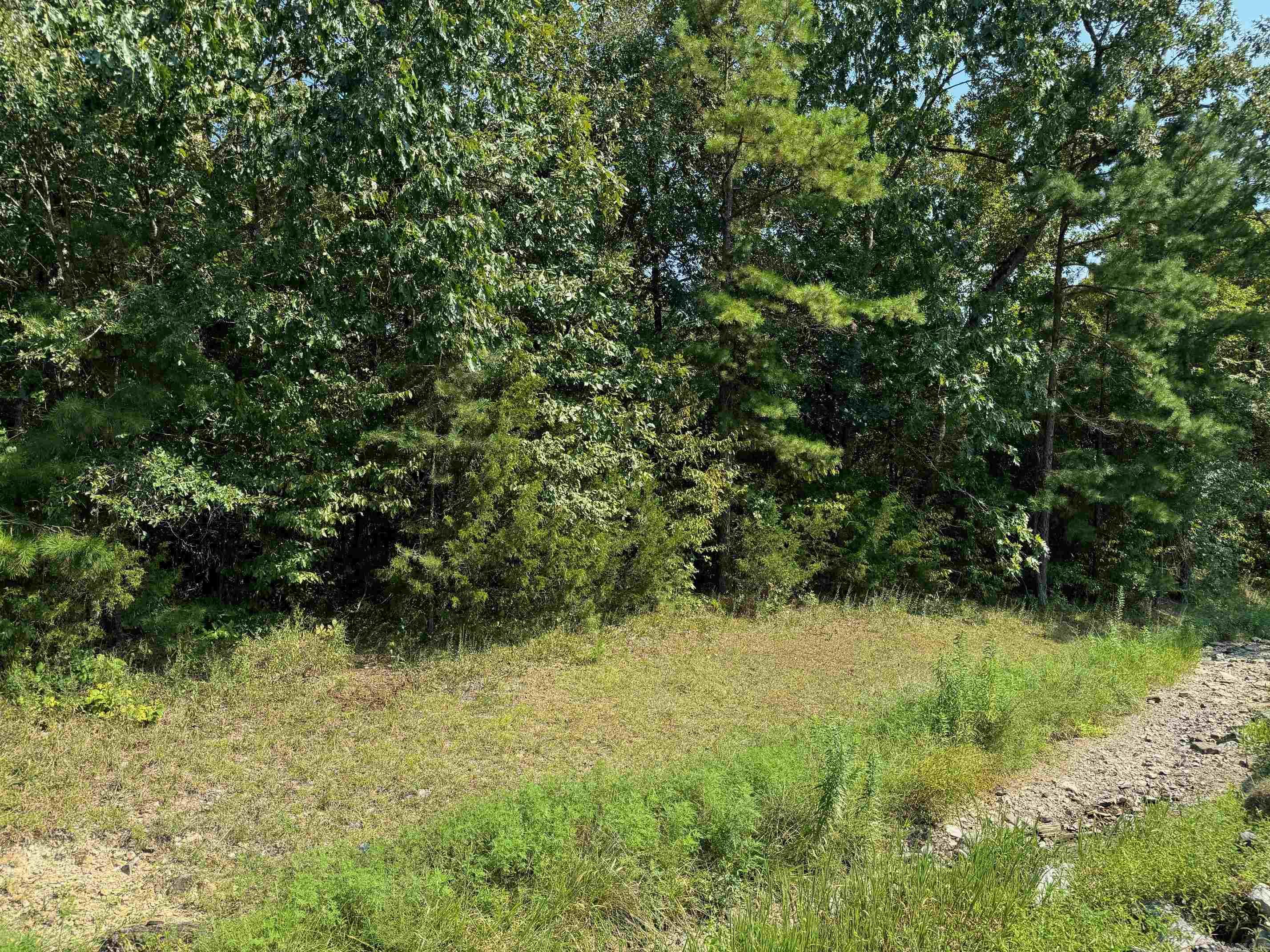16  FAISAN WAY  Hot Springs Village, AR