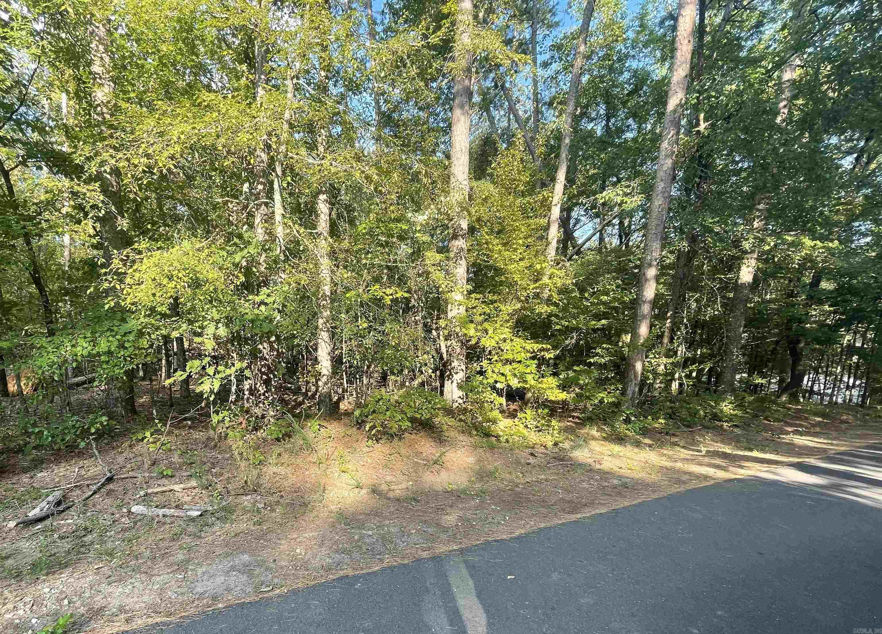 41  Mano  Hot Springs Village, AR