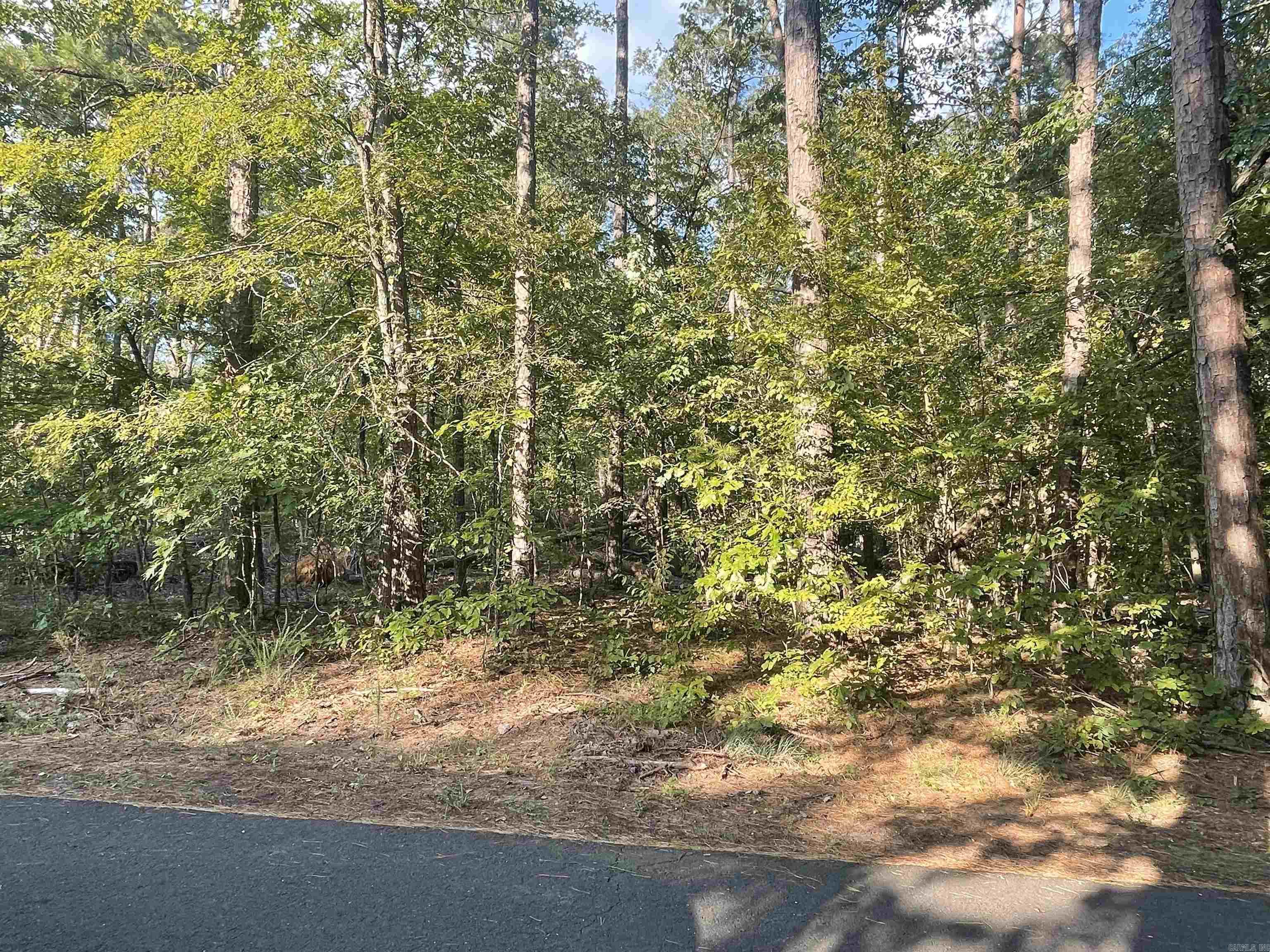 41  Mano  Hot Springs Village, AR