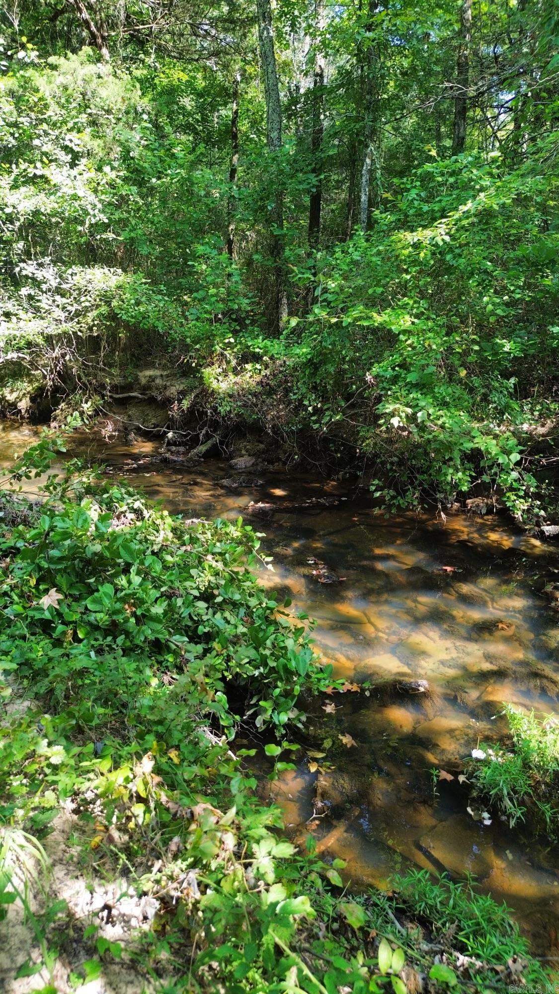 900  Piney Creek E  Rose Bud, AR