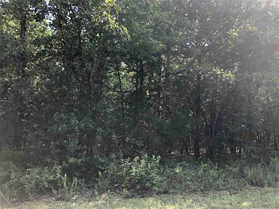 1205  Tri Lakes  Horseshoe Bend, AR