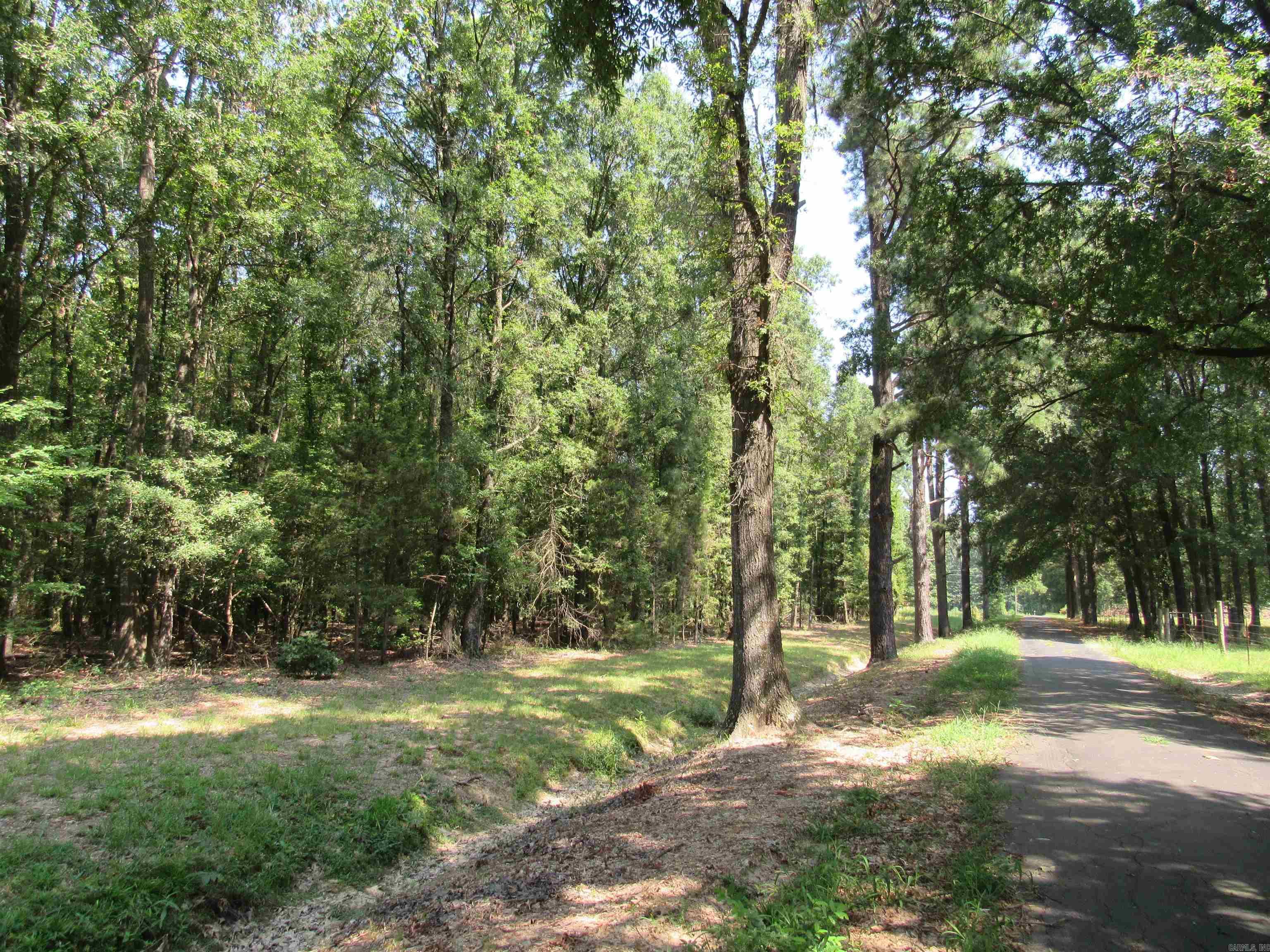 00  RIVERVIEW  Oppelo, AR