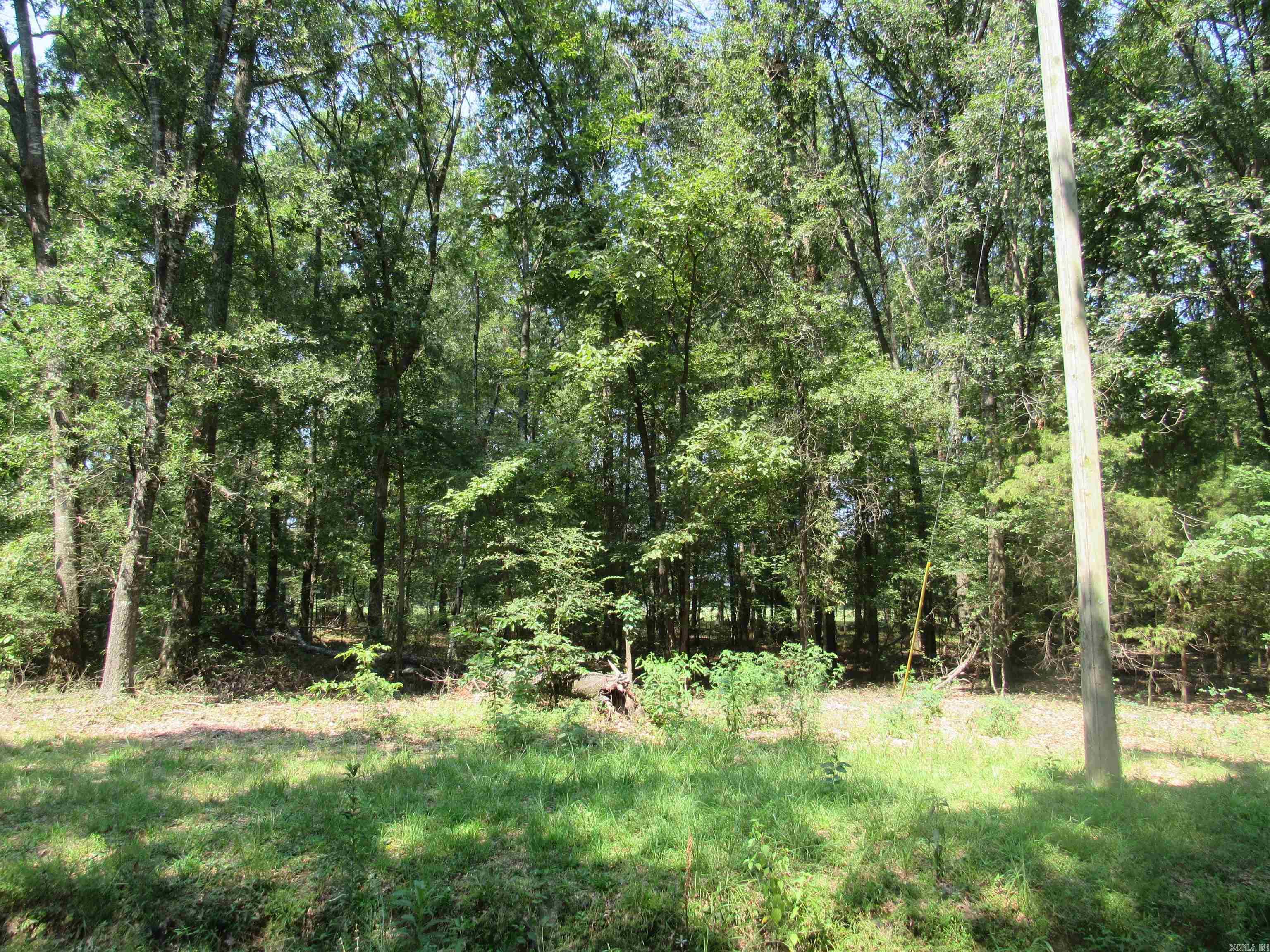 00  RIVERVIEW  Oppelo, AR