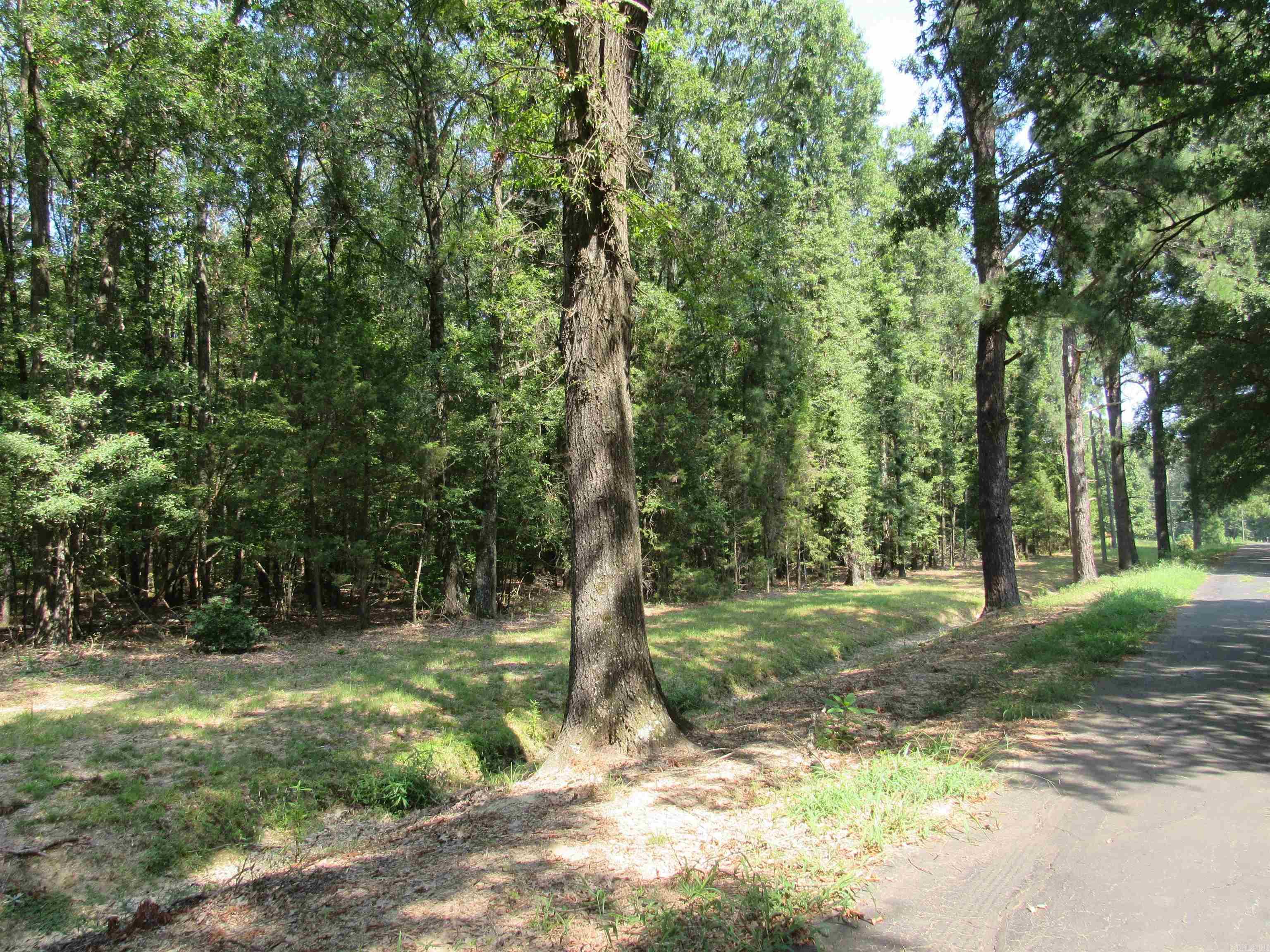 00  RIVERVIEW  Oppelo, AR