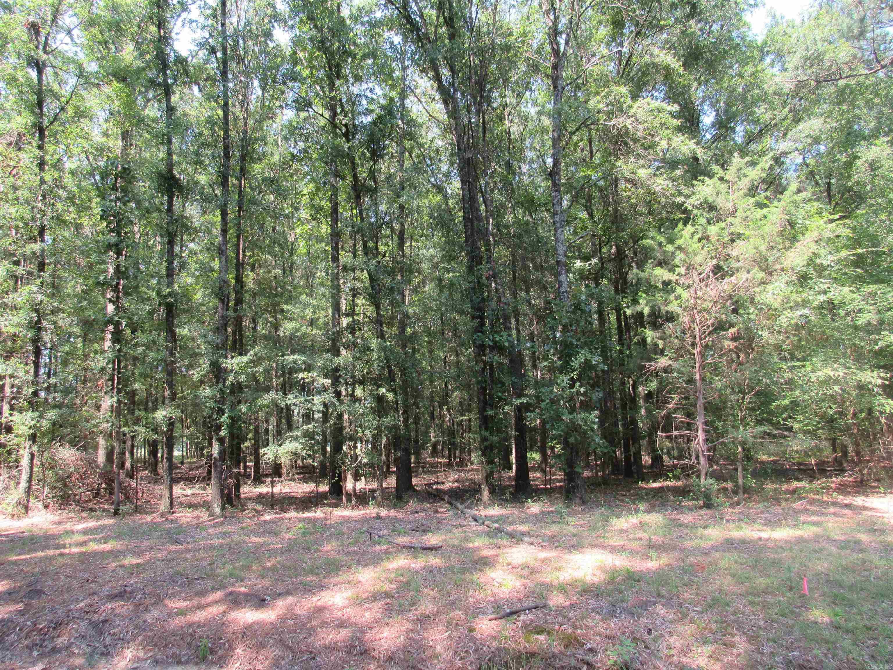 00  RIVERVIEW  Oppelo, AR