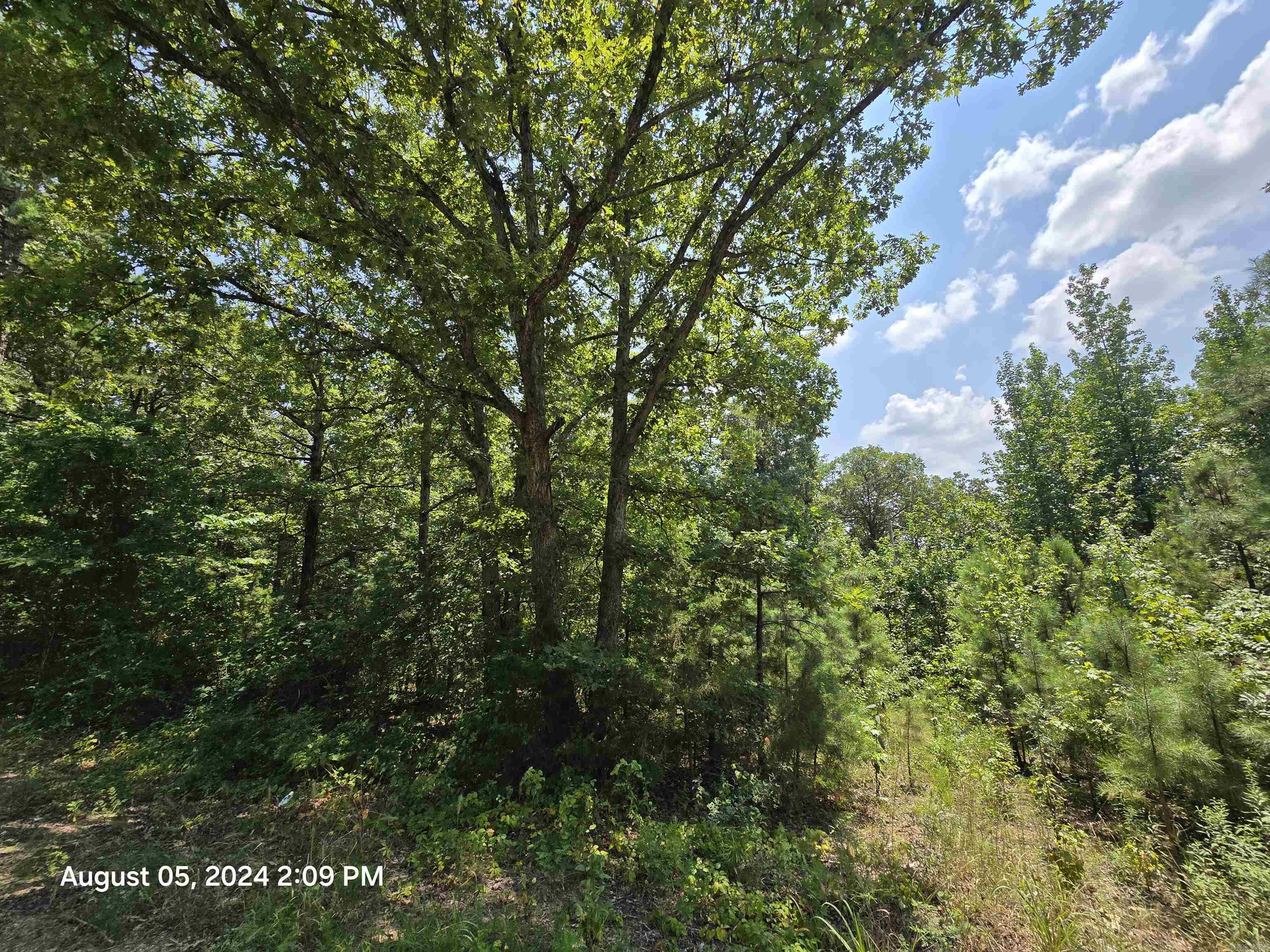 0  Floral Rd  Banner, AR