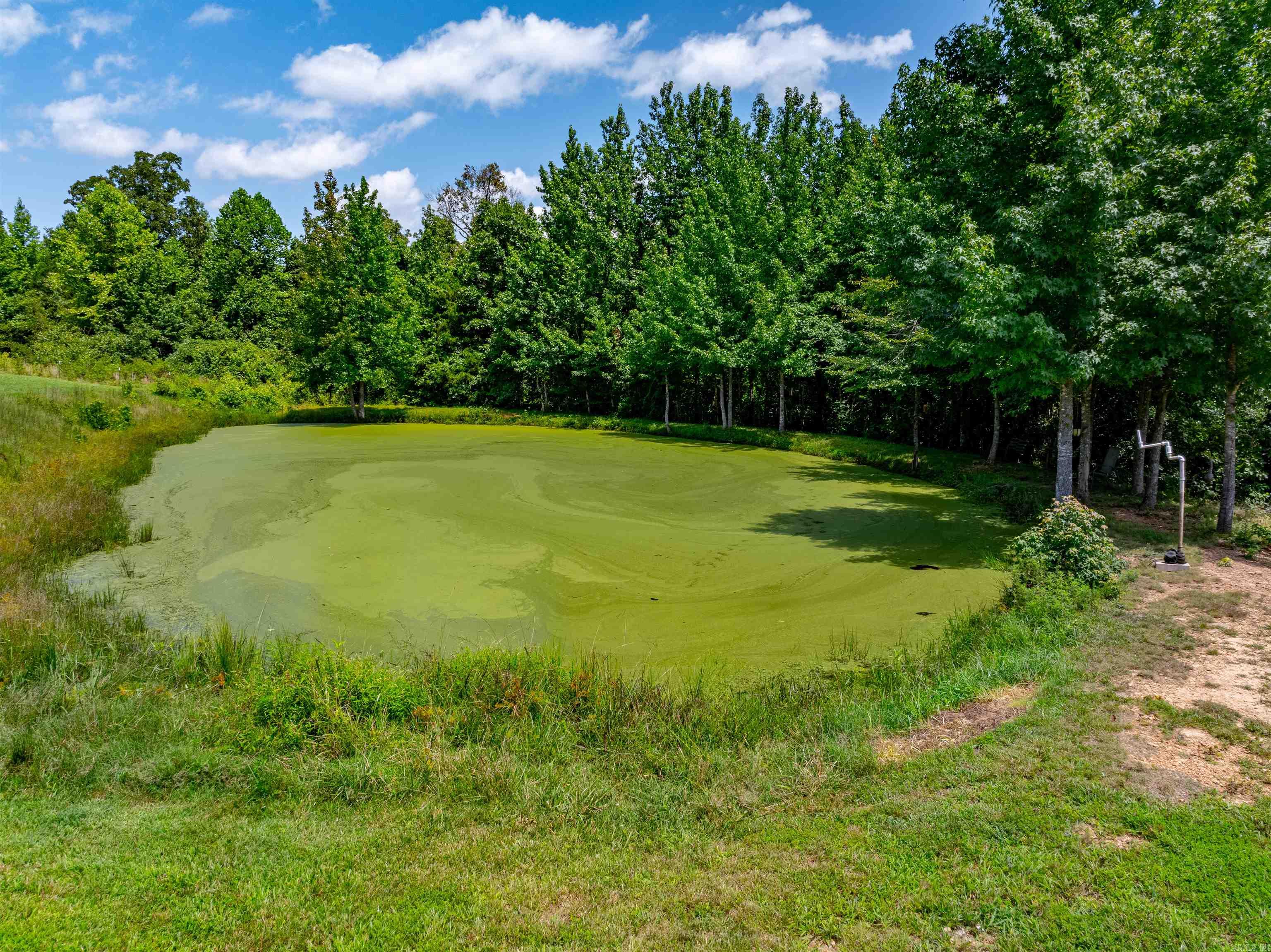 7099  Hwy 9  Mountain View, AR
