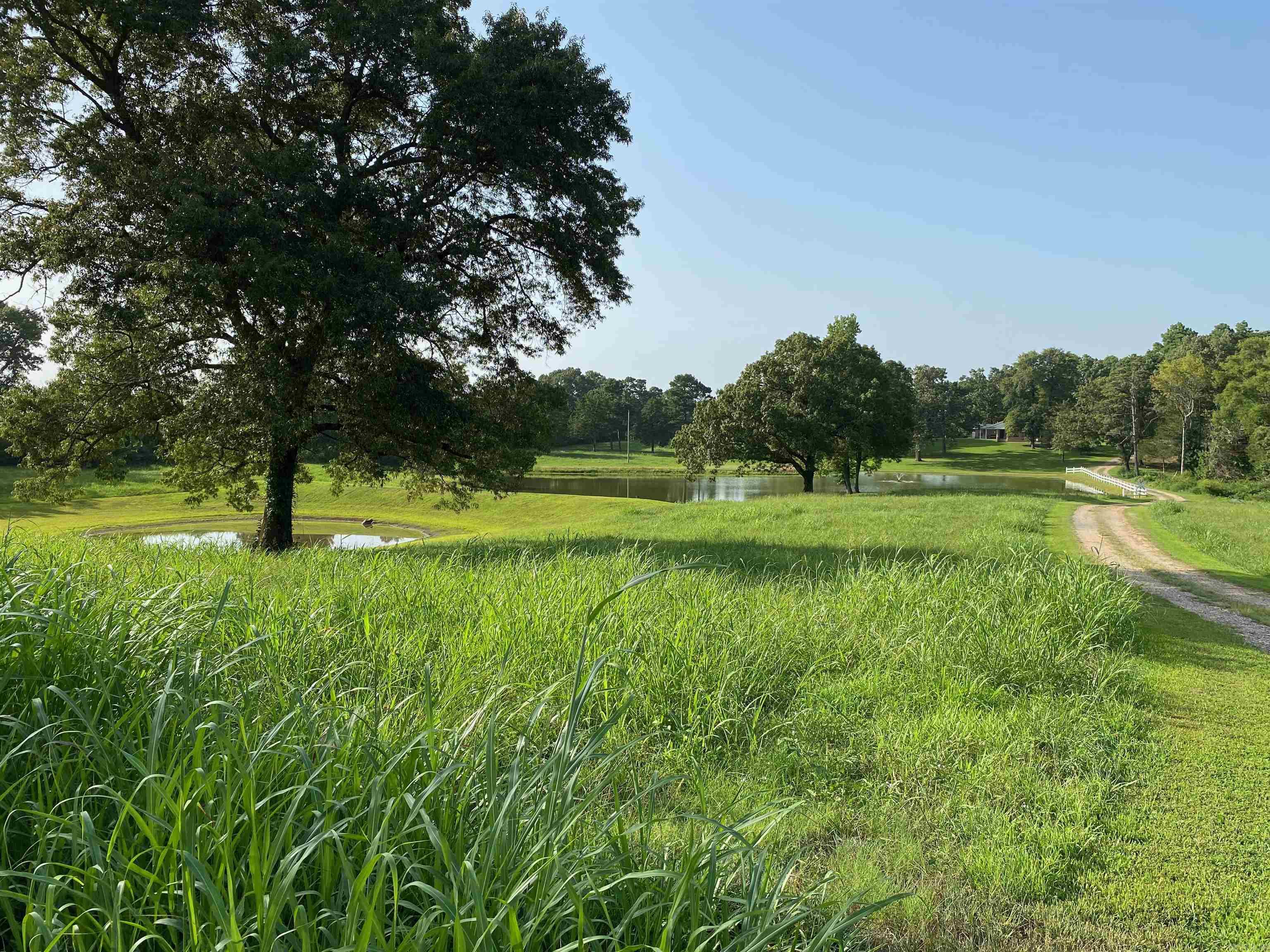 264 Polk Road  16  Cove, AR
