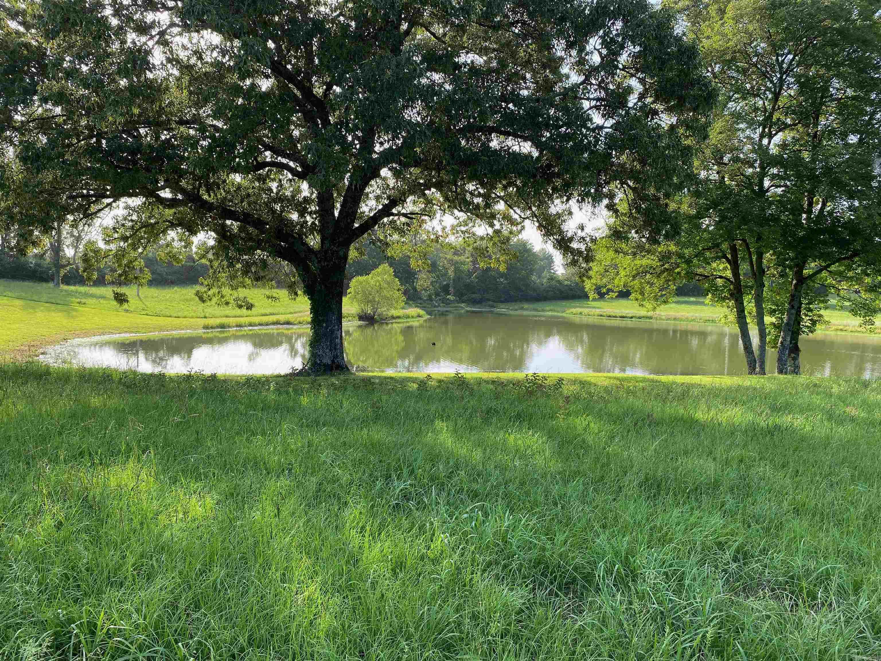 264 Polk Road  16  Cove, AR