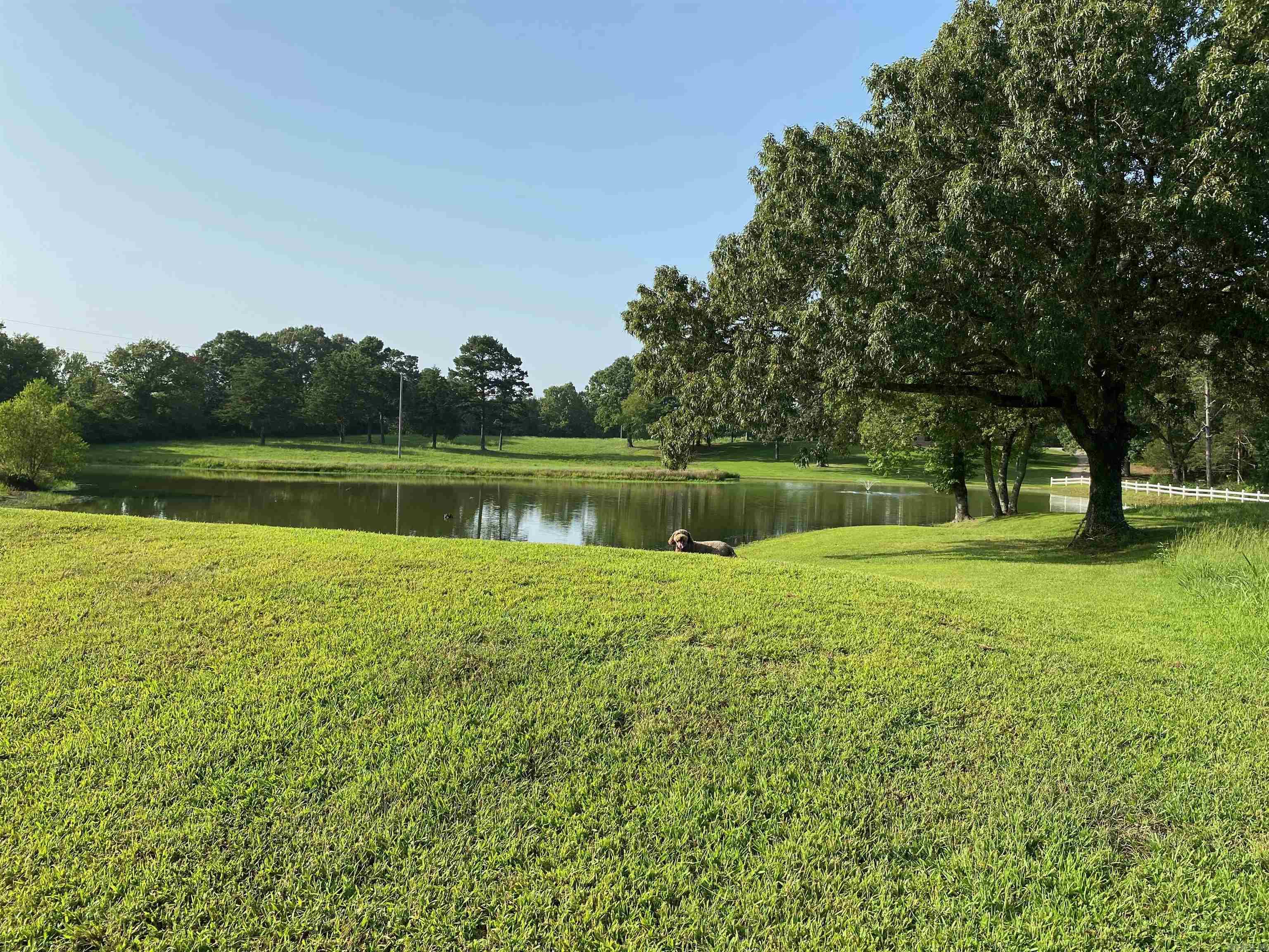 264 Polk Road  16  Cove, AR