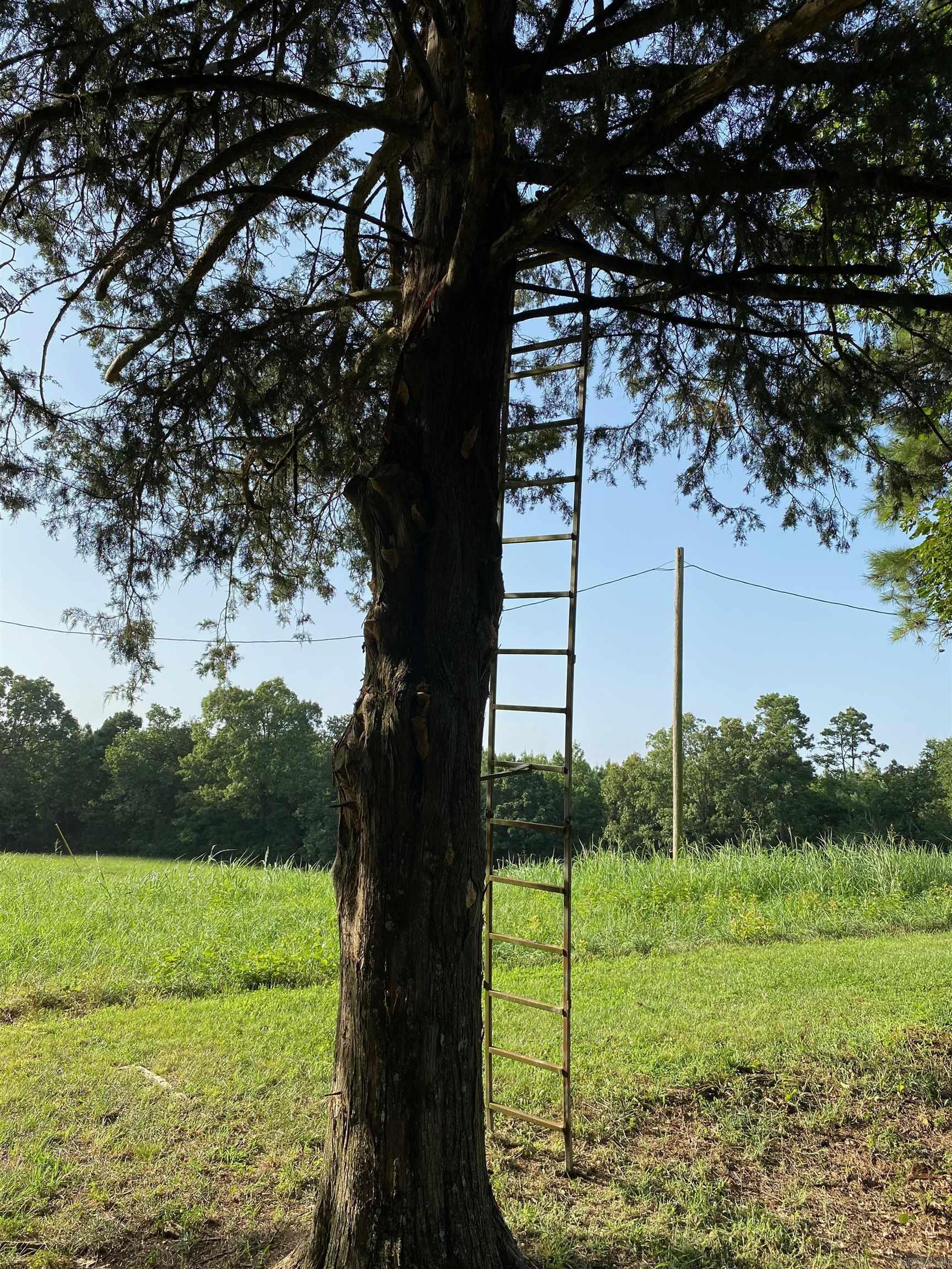 264 Polk Road  16  Cove, AR