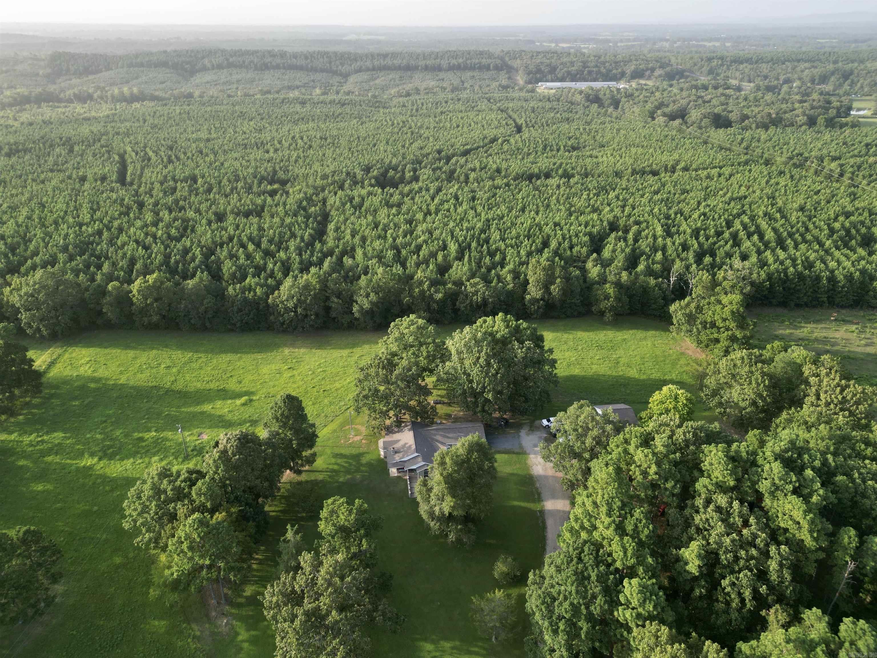 264 Polk Road  16  Cove, AR