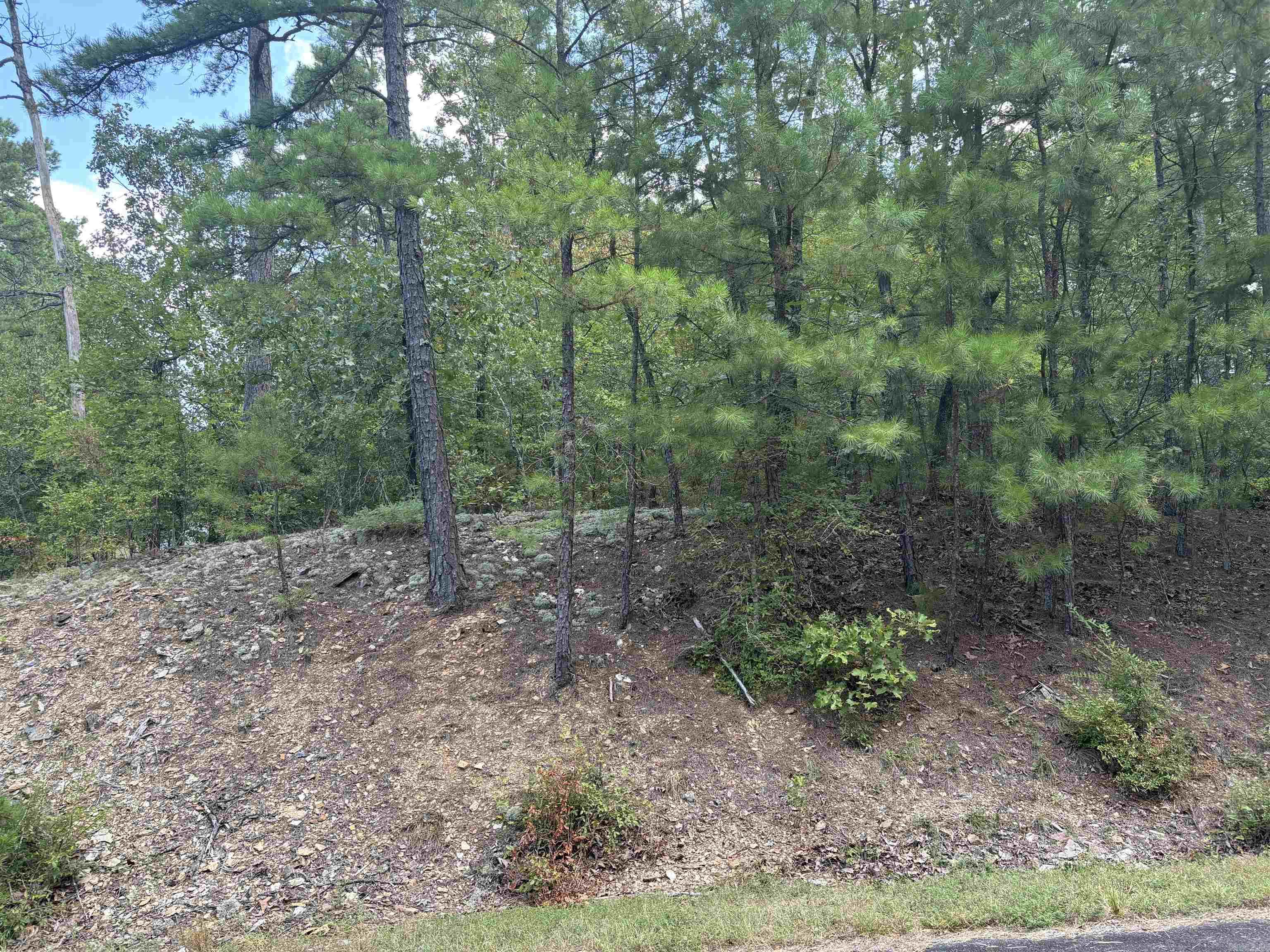 00  CETRERO LN  Hot Springs Village, AR