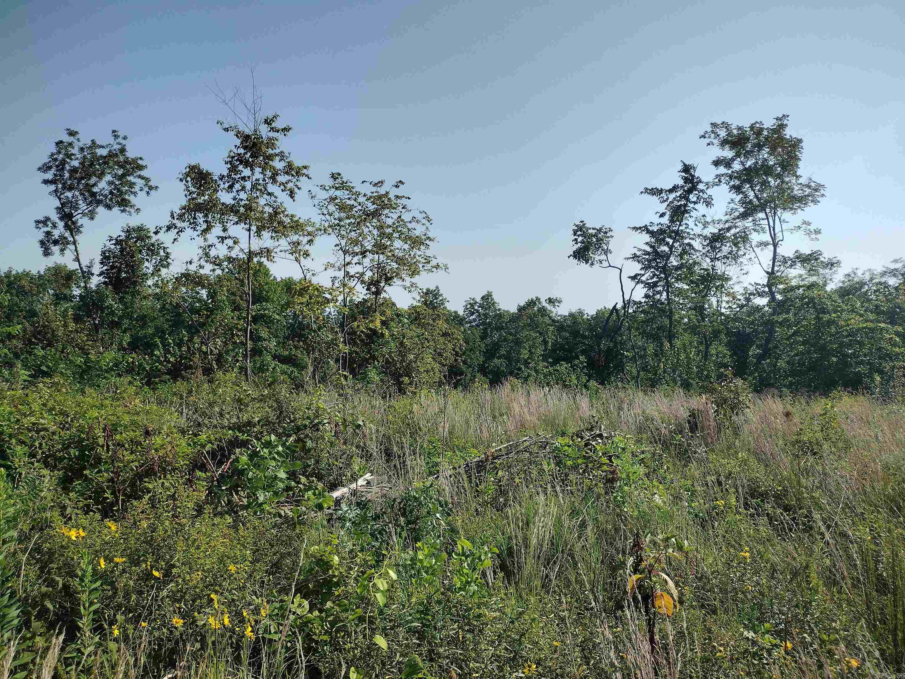 0  Sutterfield road  Fox, AR