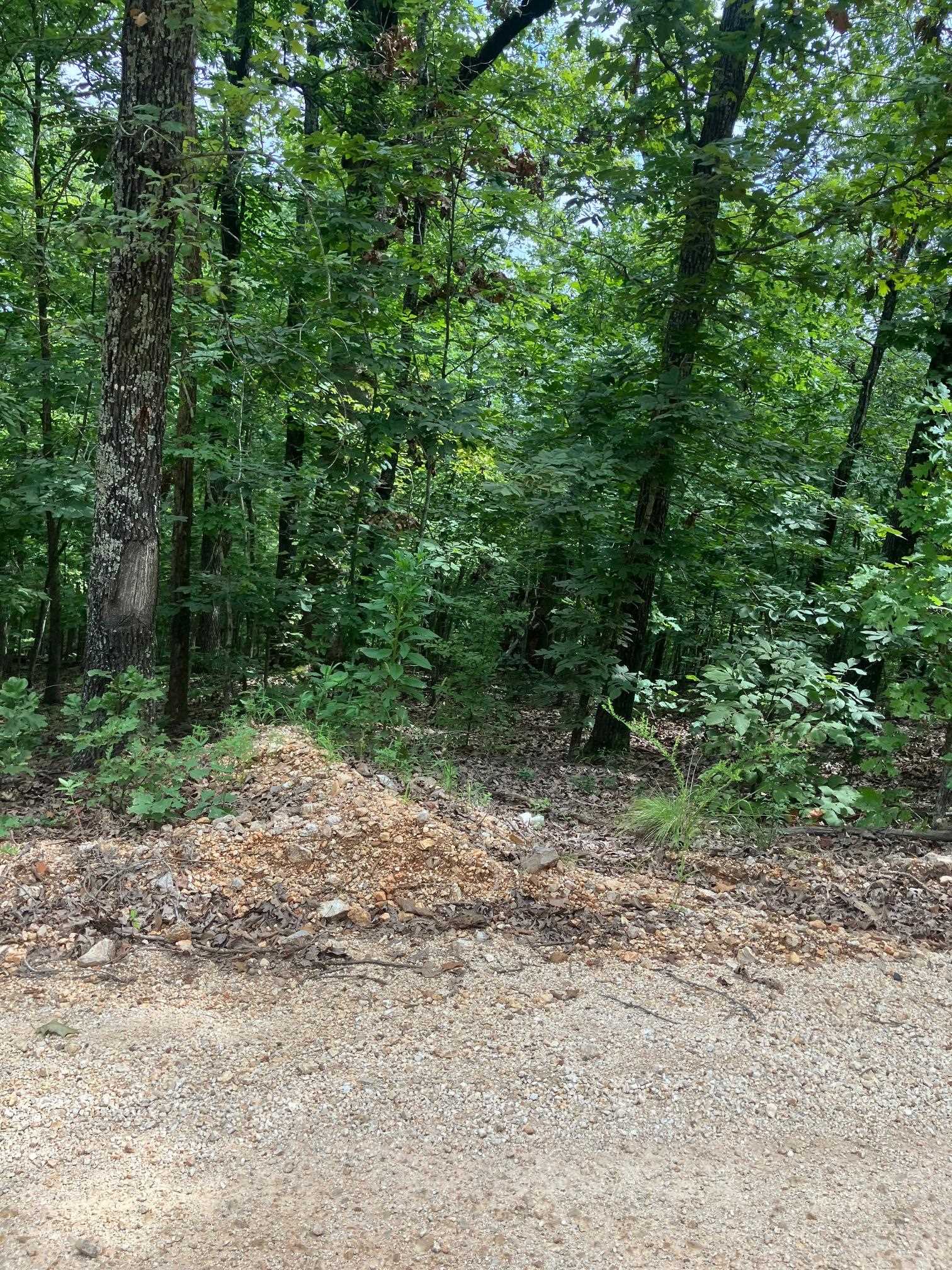 1859  Springwood Road  Hardy, AR