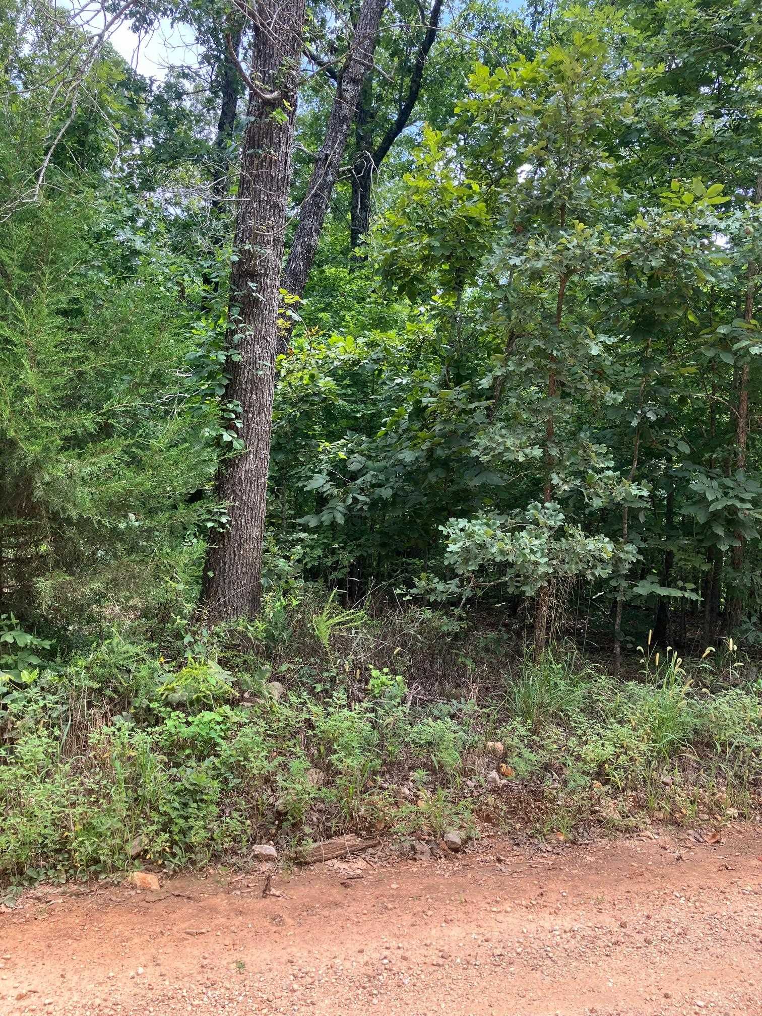 1859  Springwood Road  Hardy, AR