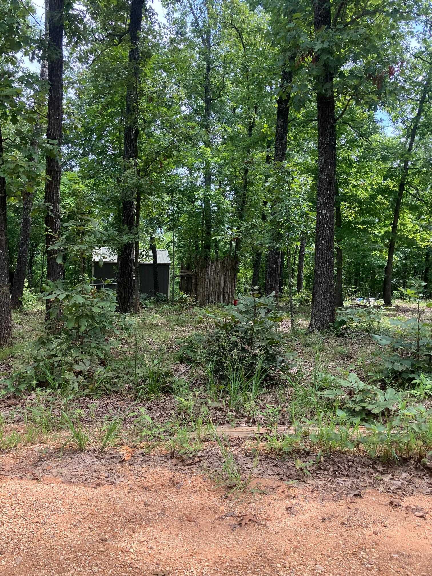 1859  Springwood Road  Hardy, AR