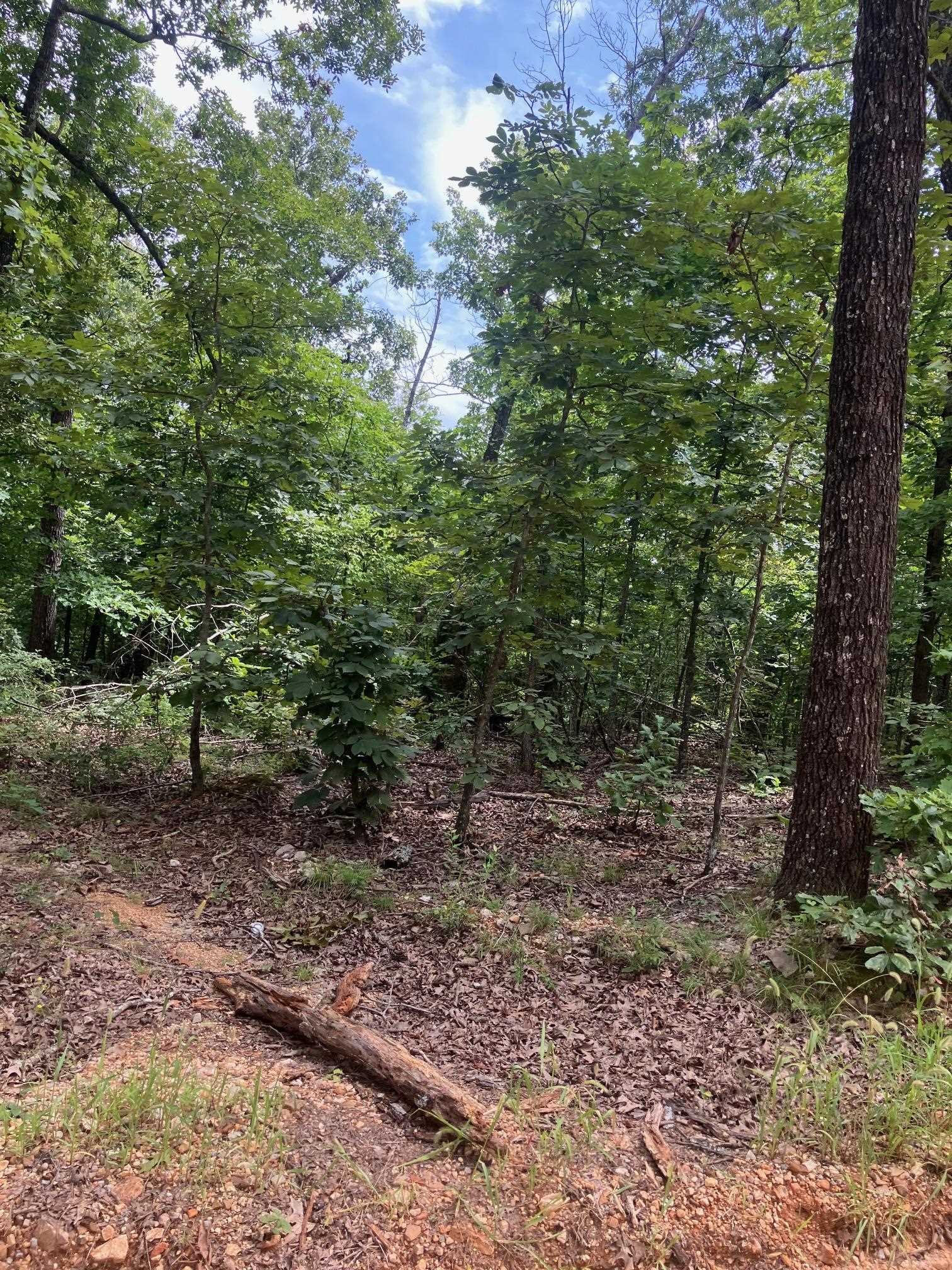 1859  Springwood Road  Hardy, AR