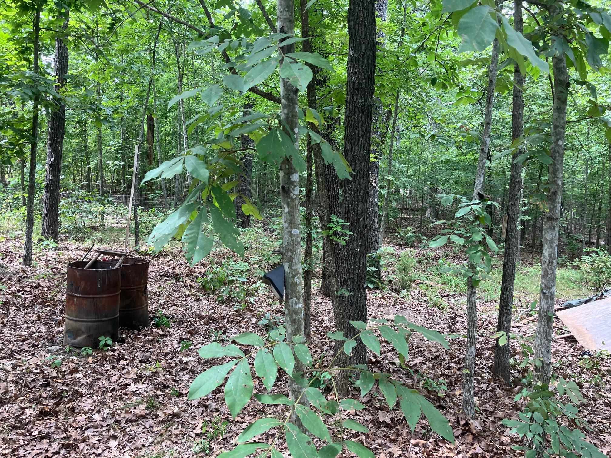 1859  Springwood Road  Hardy, AR