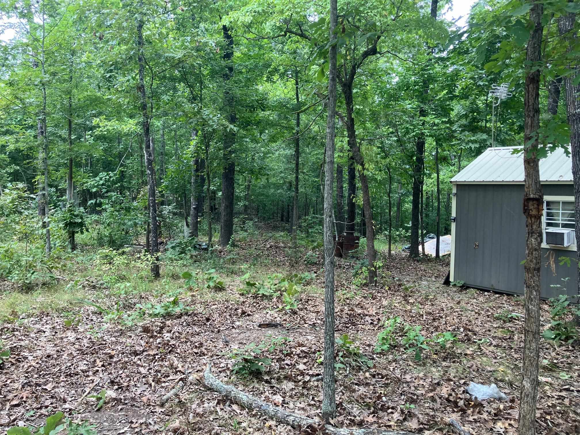 1859  Springwood Road  Hardy, AR