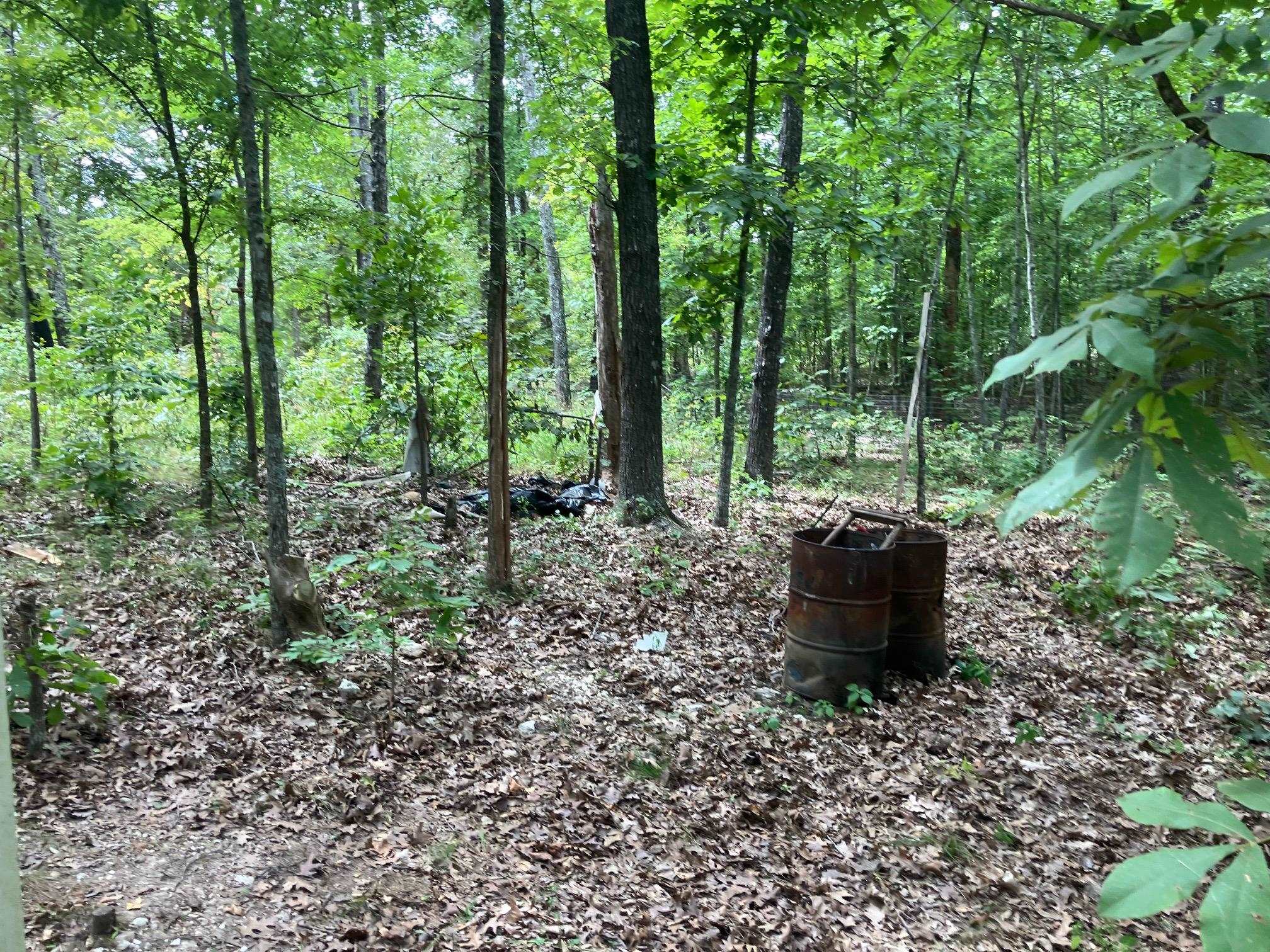 1859  Springwood Road  Hardy, AR