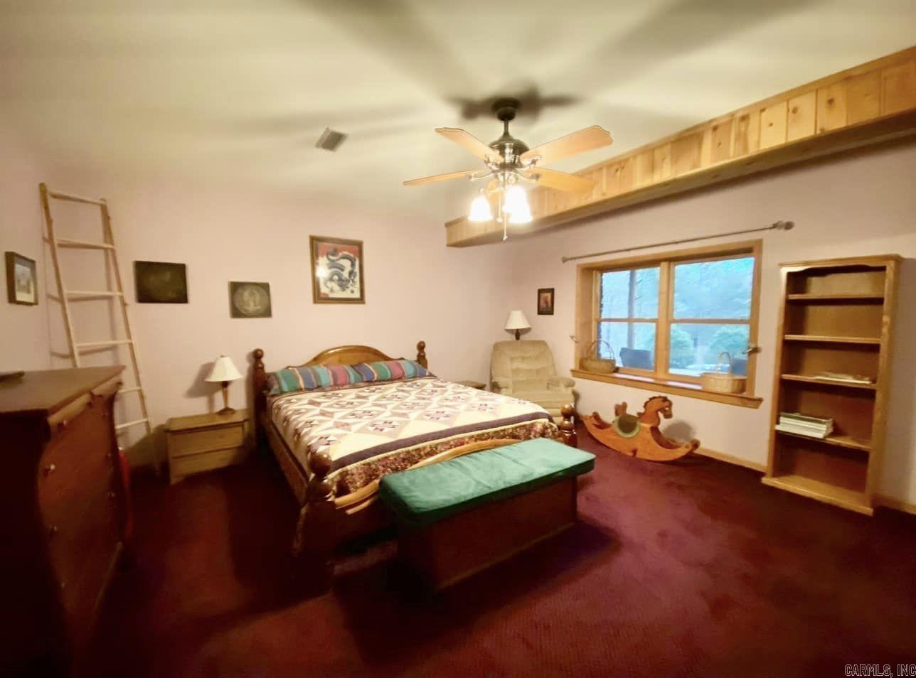 4003  Sunny Fox  Mountain View, AR