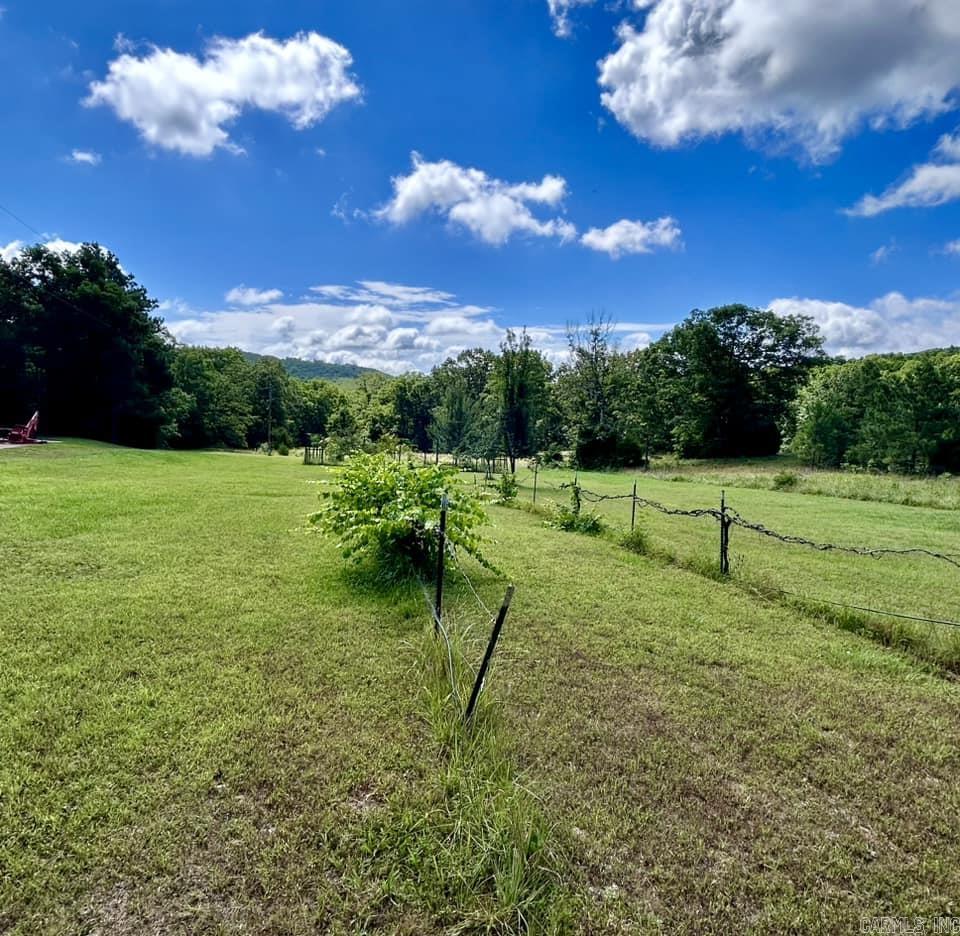 4003  Sunny Fox  Mountain View, AR