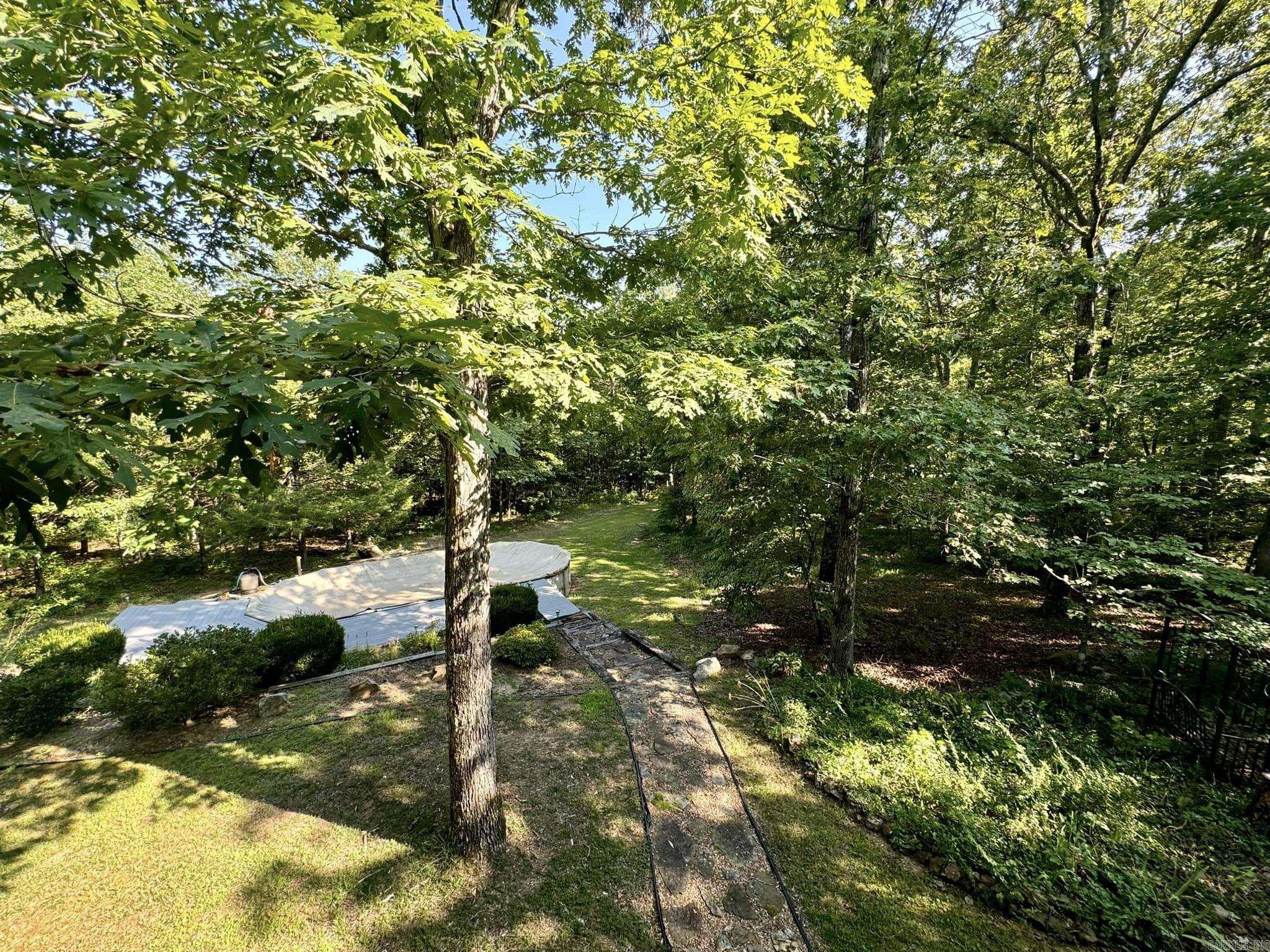 4003  Sunny Fox  Mountain View, AR