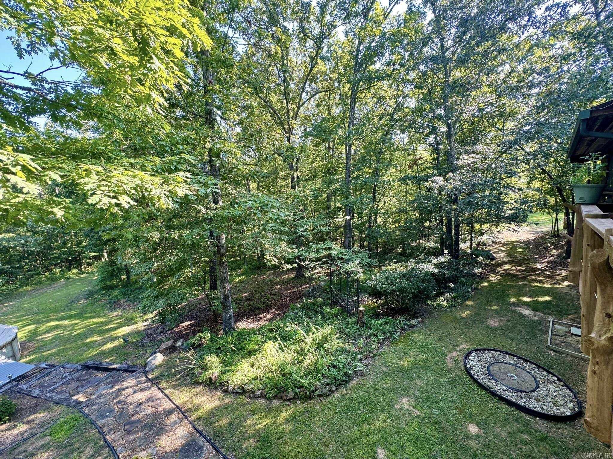 4003  Sunny Fox  Mountain View, AR