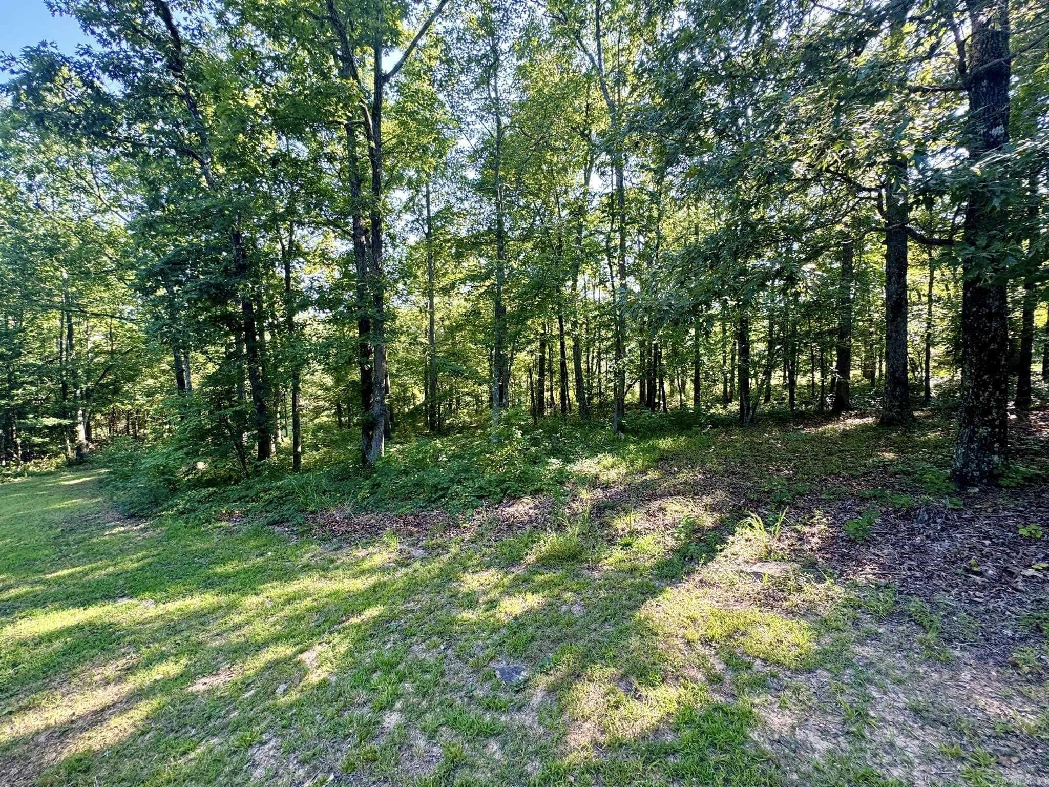 4003  Sunny Fox  Mountain View, AR